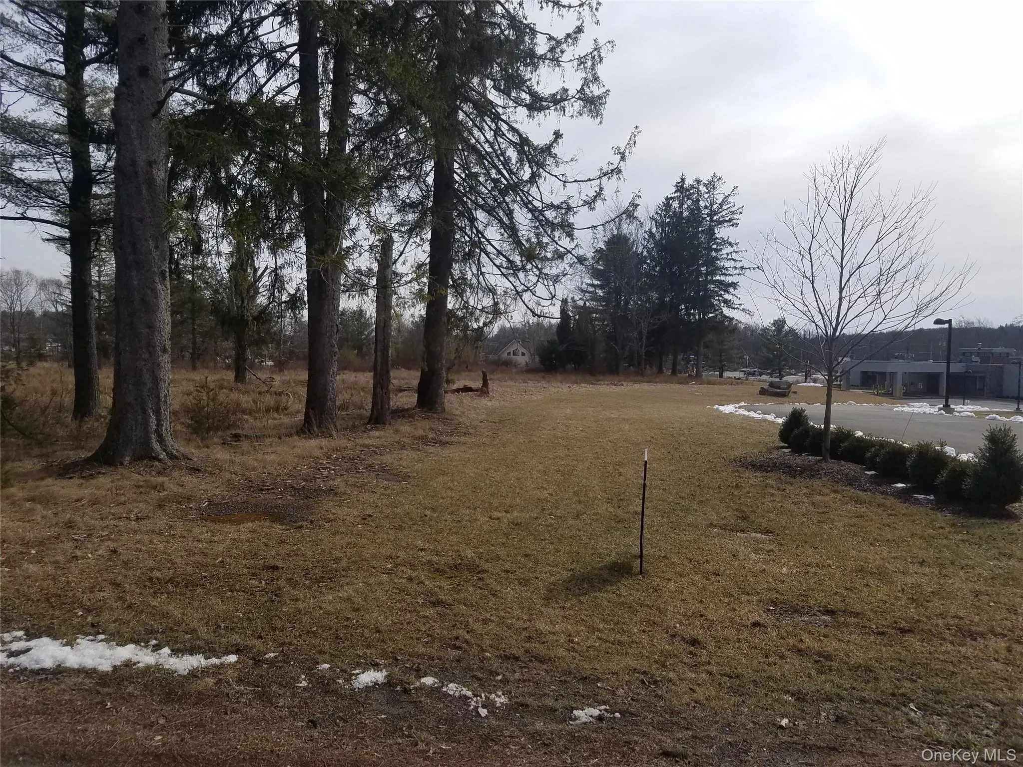 59 Lanahan Road, Thompson, NY, ,Land,For Rent,Lanahan,0,955135 59 Lanahan Road, Thompson, NY, ,Land,For Rent,Lanahan,0,955135
