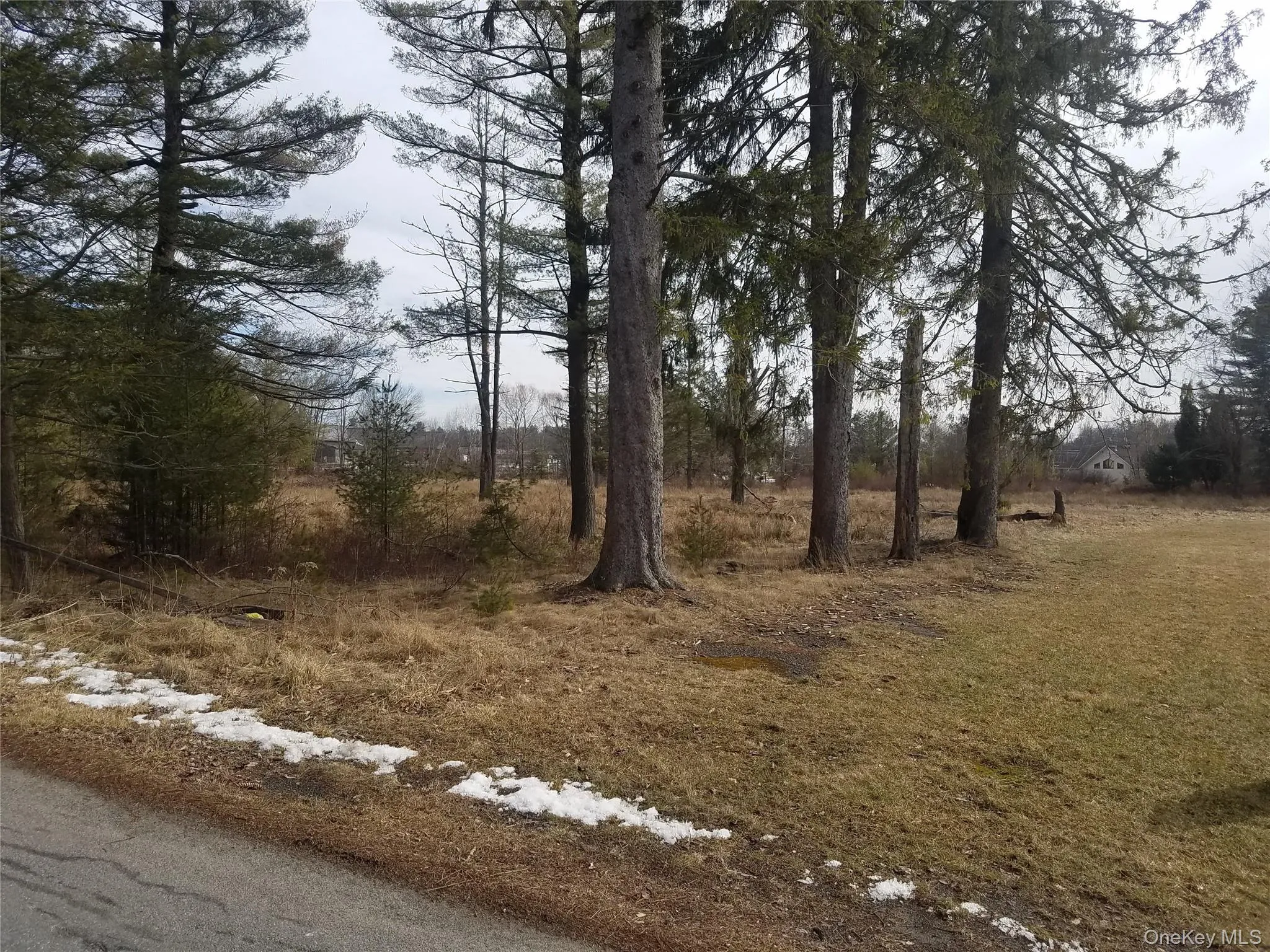 59 Lanahan Road, Thompson, NY, ,Land,For Rent,Lanahan,0,955135 59 Lanahan Road, Thompson, NY, ,Land,For Rent,Lanahan,0,955135