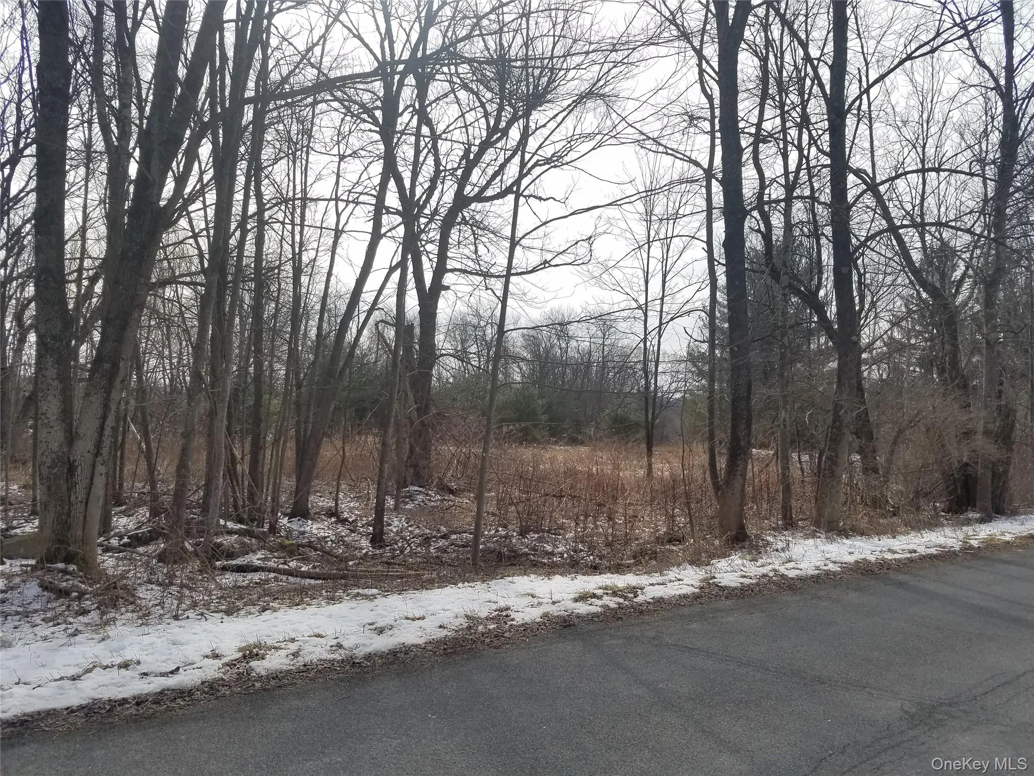 59 Lanahan Road, Thompson, NY, ,Land,For Rent,Lanahan,0,955135 59 Lanahan Road, Thompson, NY, ,Land,For Rent,Lanahan,0,955135