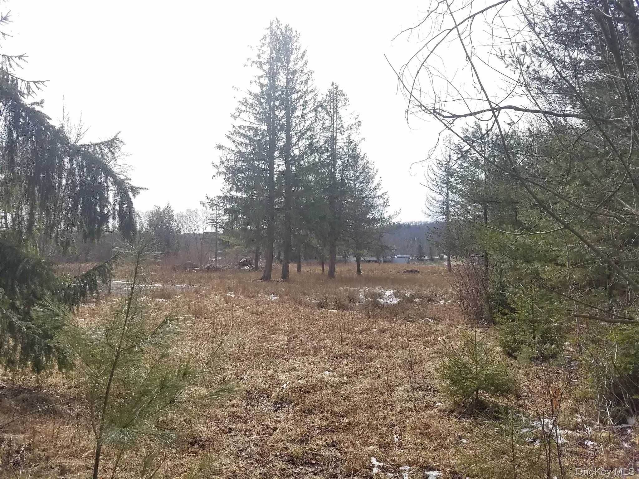 59 Lanahan Road, Thompson, NY, ,Land,For Rent,Lanahan,0,955135 59 Lanahan Road, Thompson, NY, ,Land,For Rent,Lanahan,0,955135