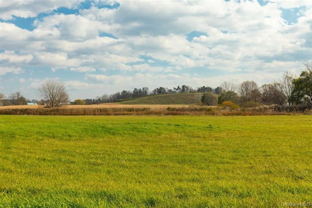 460 Lasher Road, Clermont, NY, 2 Bedrooms Bedrooms, 7 Rooms Rooms,1 BathroomBathrooms,Residential Lease,Idx,Lasher,0,955206 460 Lasher Road, Clermont, NY, 2 Bedrooms Bedrooms, 7 Rooms Rooms,1 BathroomBathrooms,Residential Lease,Idx,Lasher,0,955206