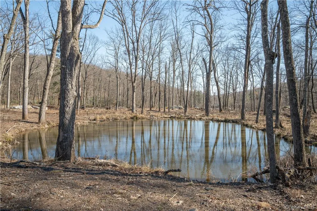 56 Benjamin Meadow Road, Tuxedo, NY, 4 Bedrooms Bedrooms, 11 Rooms Rooms,2 BathroomsBathrooms,Residential Lease,Idx,Benjamin Meadow,0,955643 56 Benjamin Meadow Road, Tuxedo, NY, 4 Bedrooms Bedrooms, 11 Rooms Rooms,2 BathroomsBathrooms,Residential Lease,Idx,Benjamin Meadow,0,955643