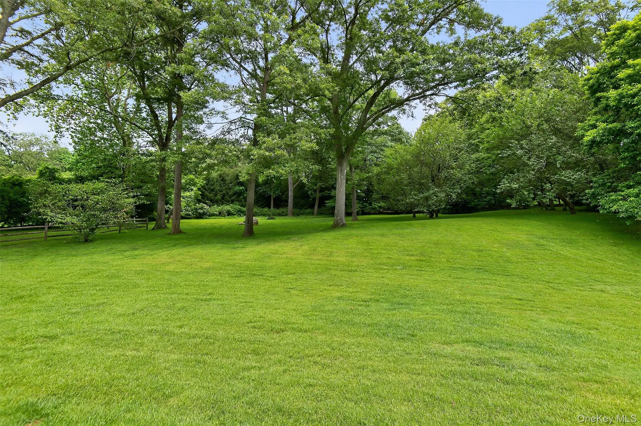 Open lawn with border plantings Open lawn with border plantings