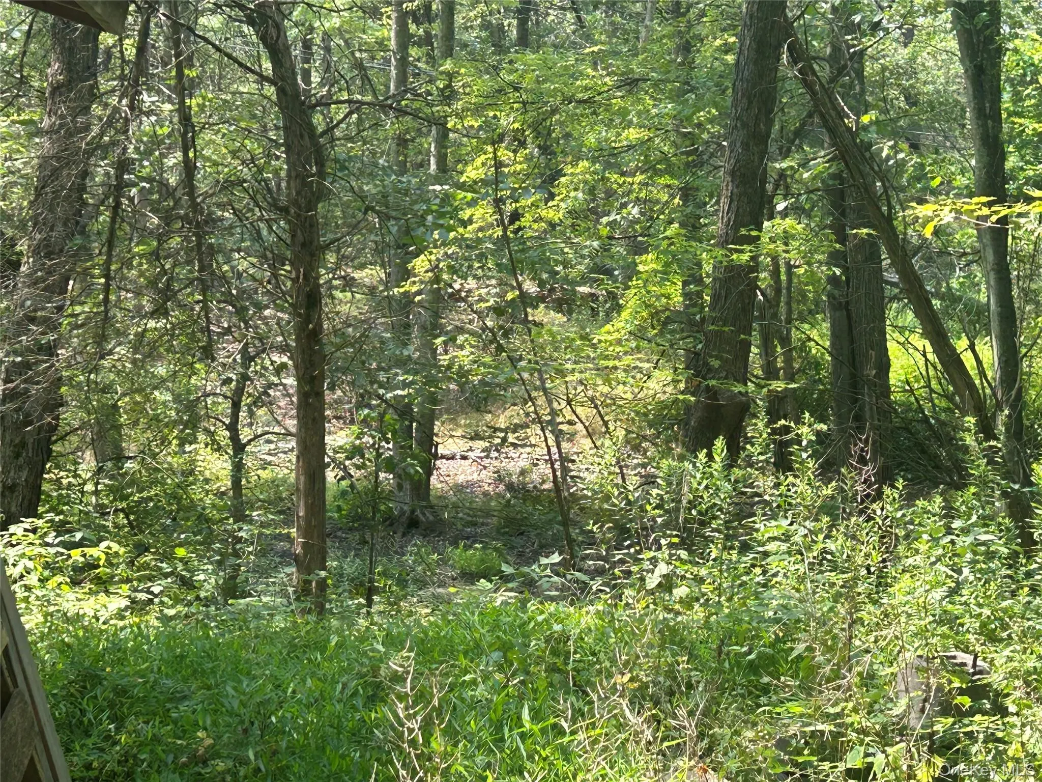 White Schoolhouse Road, Rhinebeck, NY, ,Land,For Rent,White Schoolhouse,0,955800 White Schoolhouse Road, Rhinebeck, NY, ,Land,For Rent,White Schoolhouse,0,955800