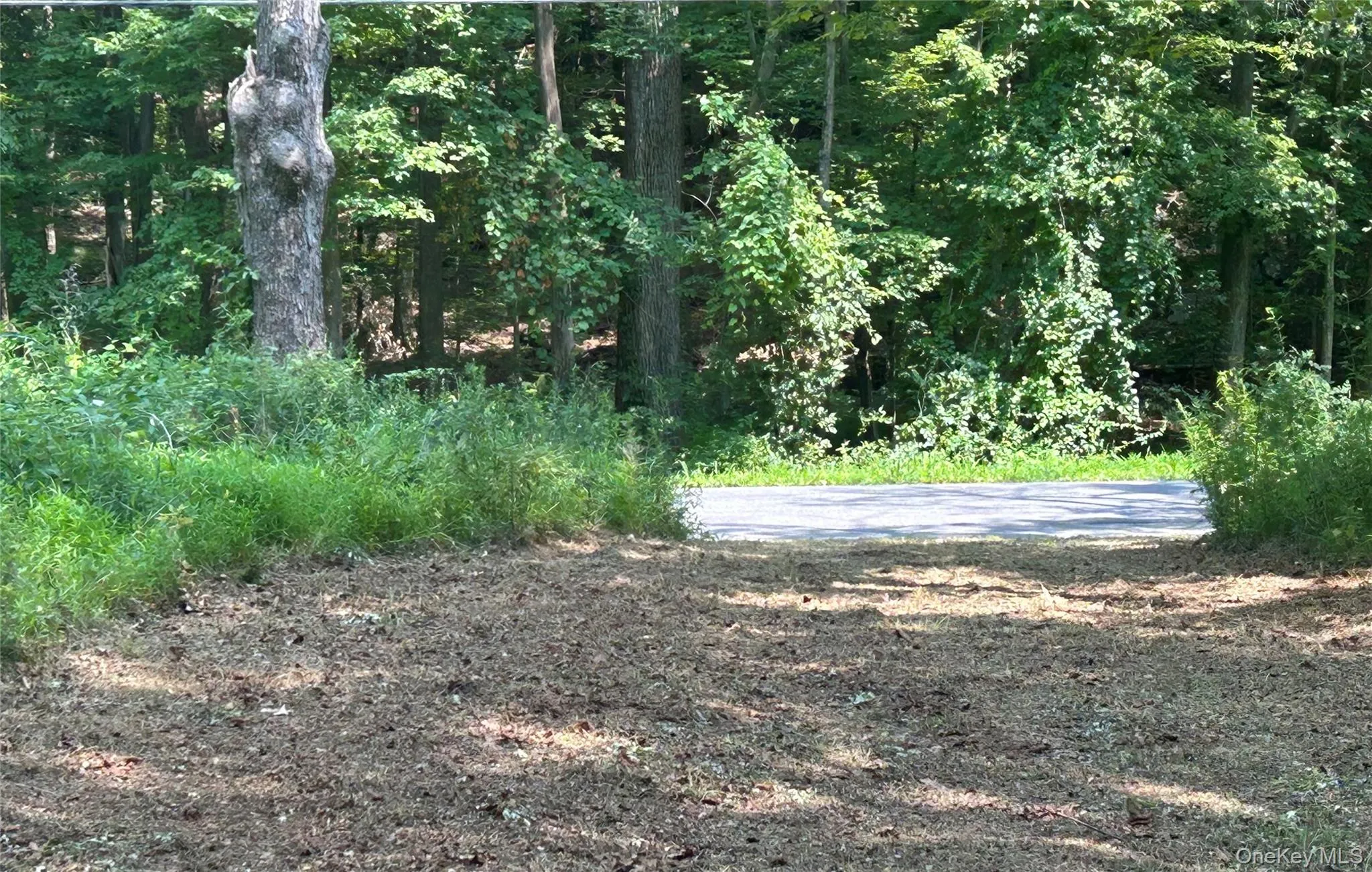 White Schoolhouse Road, Rhinebeck, NY, ,Land,For Rent,White Schoolhouse,0,955800 White Schoolhouse Road, Rhinebeck, NY, ,Land,For Rent,White Schoolhouse,0,955800