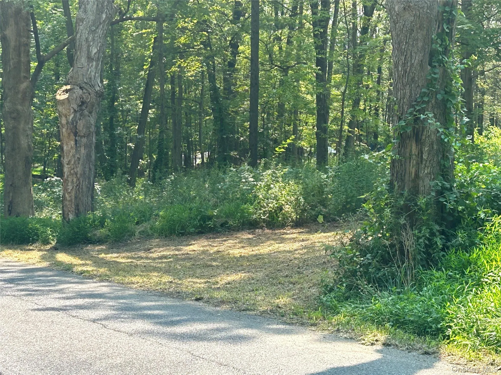 White Schoolhouse Road, Rhinebeck, NY, ,Land,For Rent,White Schoolhouse,0,955800 White Schoolhouse Road, Rhinebeck, NY, ,Land,For Rent,White Schoolhouse,0,955800