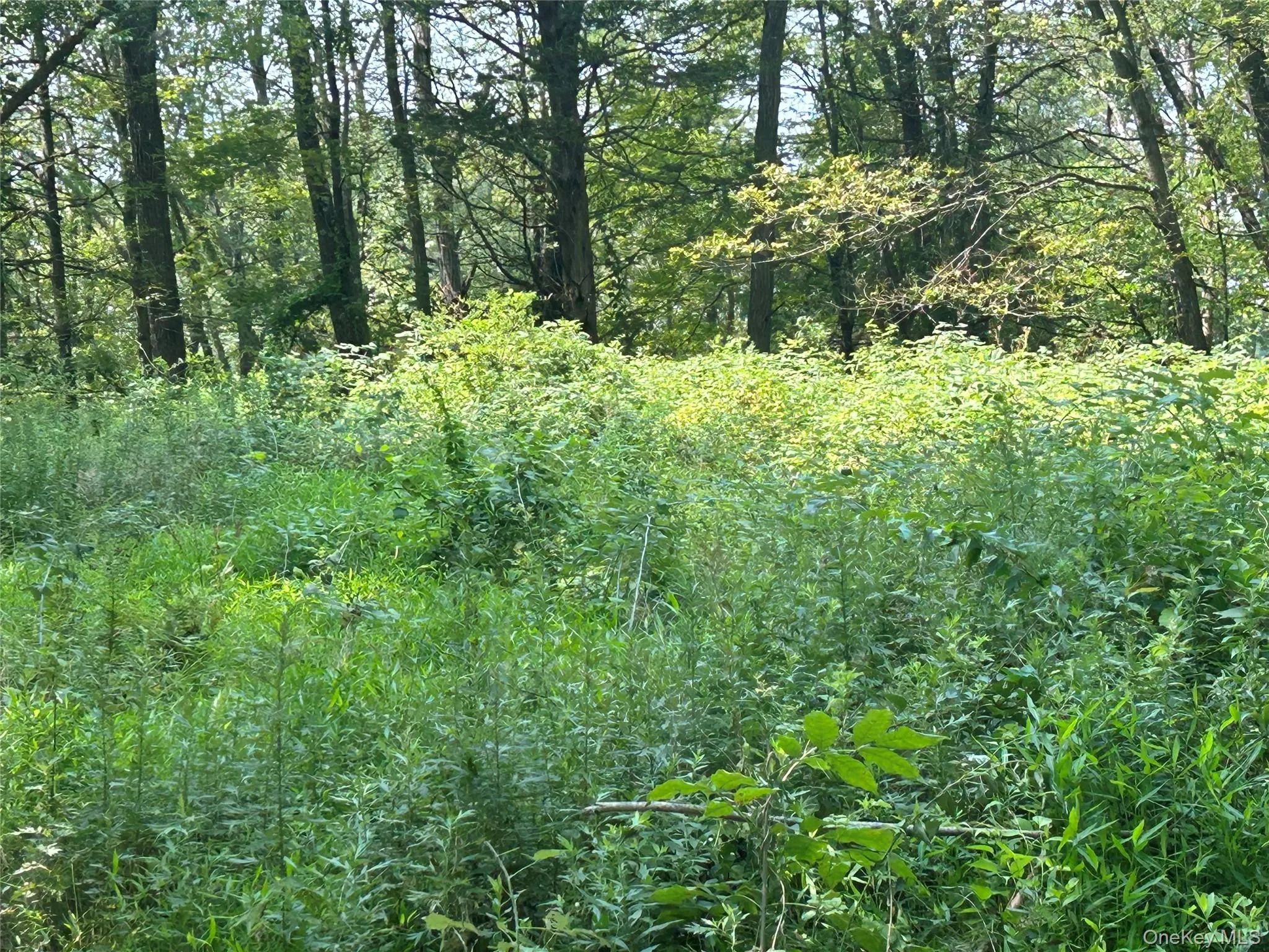 White Schoolhouse Road, Rhinebeck, NY, ,Land,For Rent,White Schoolhouse,0,955800 White Schoolhouse Road, Rhinebeck, NY, ,Land,For Rent,White Schoolhouse,0,955800