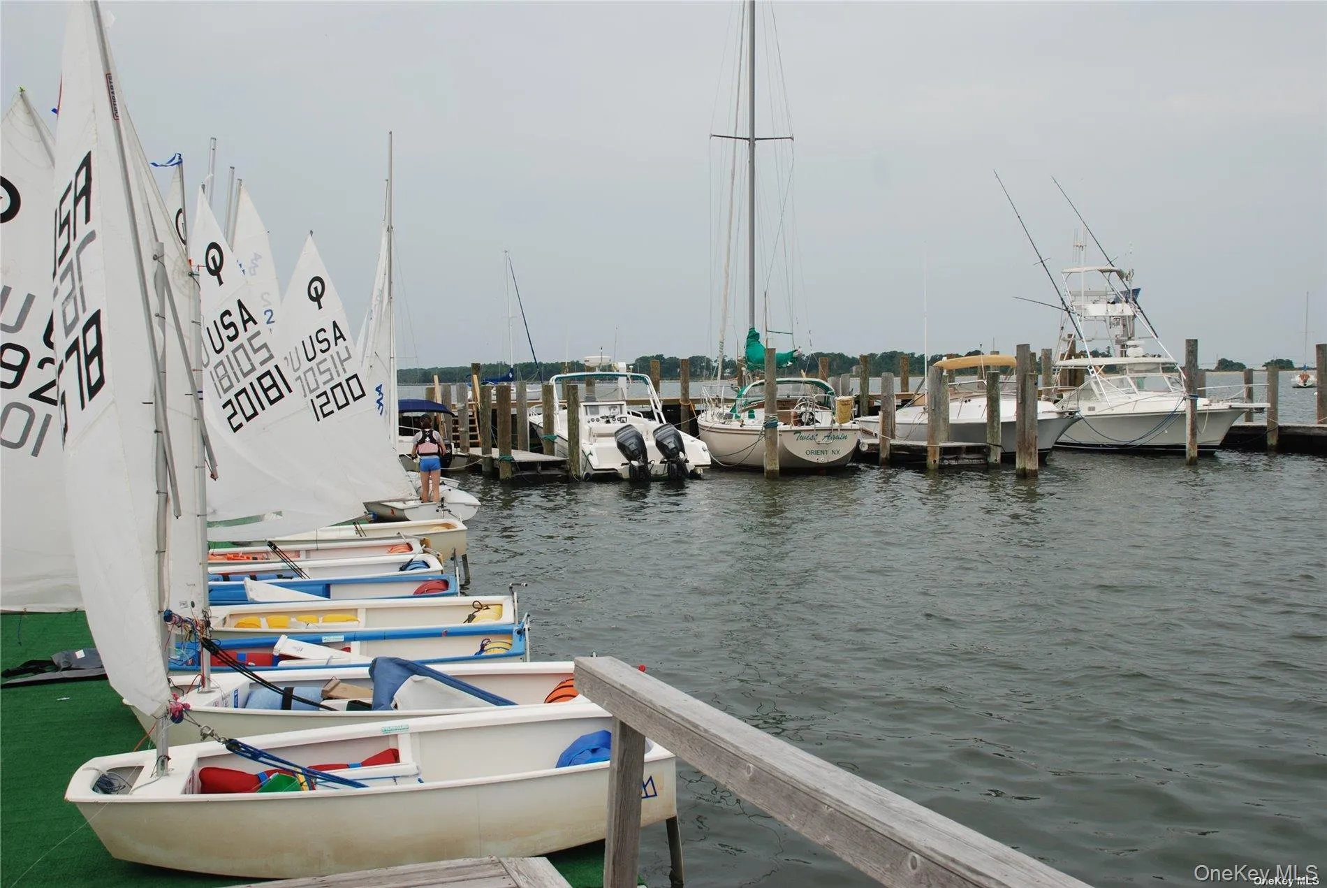 Orient Yacht Club Orient Yacht Club