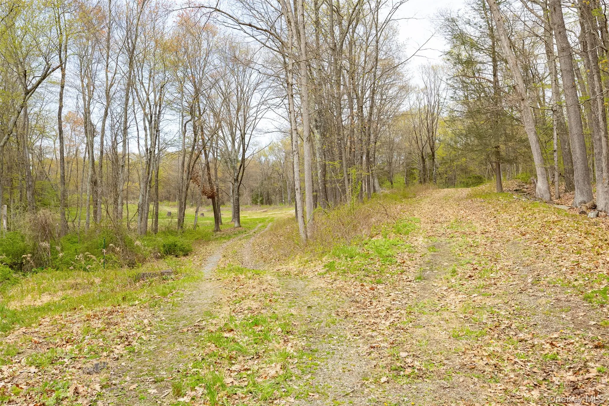 207 Pleasant Vale, Clermont, NY, ,Land,For Rent,Pleasant Vale,0,955852 207 Pleasant Vale, Clermont, NY, ,Land,For Rent,Pleasant Vale,0,955852