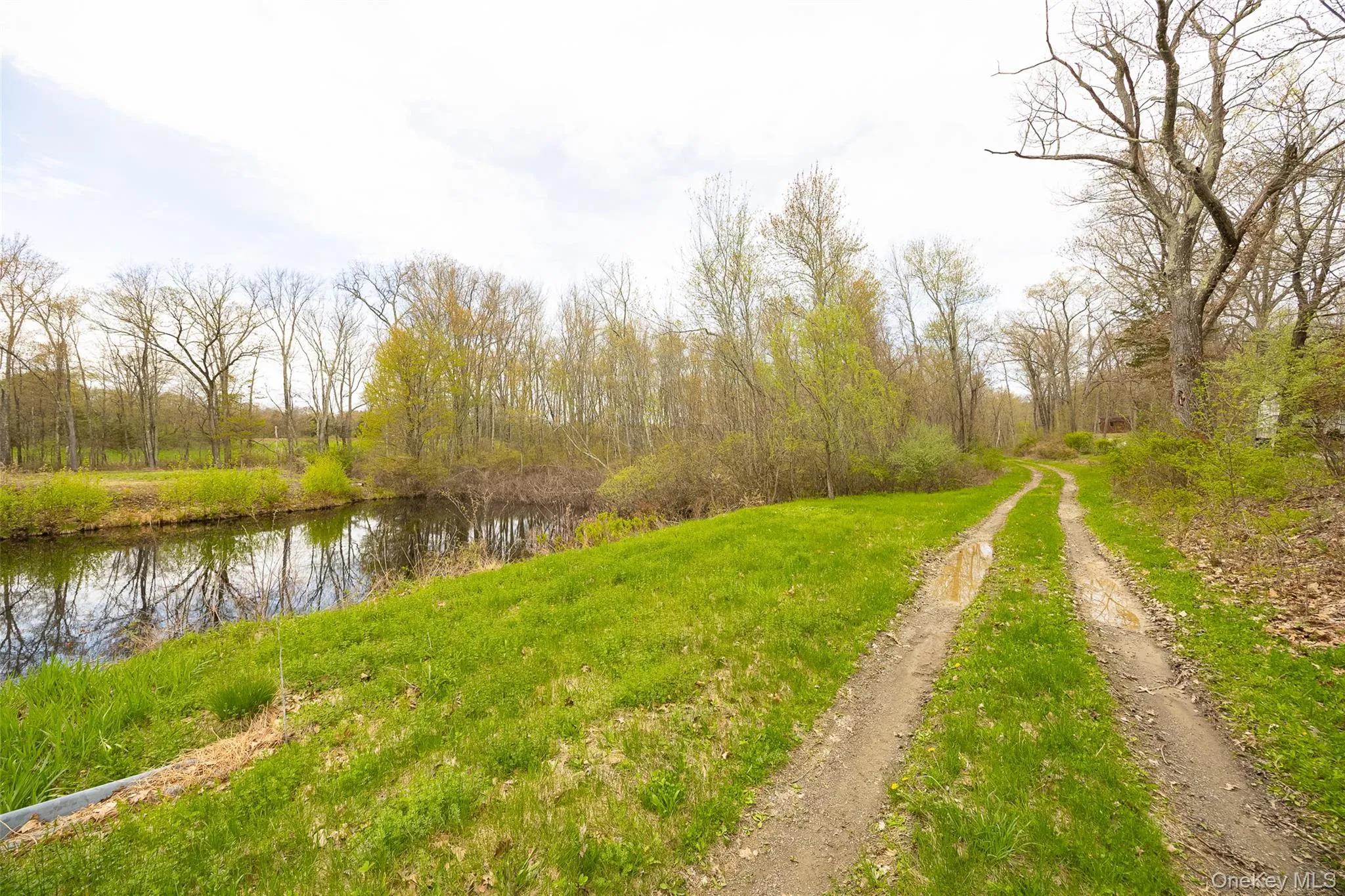 207 Pleasant Vale, Clermont, NY, ,Land,For Rent,Pleasant Vale,0,955852 207 Pleasant Vale, Clermont, NY, ,Land,For Rent,Pleasant Vale,0,955852