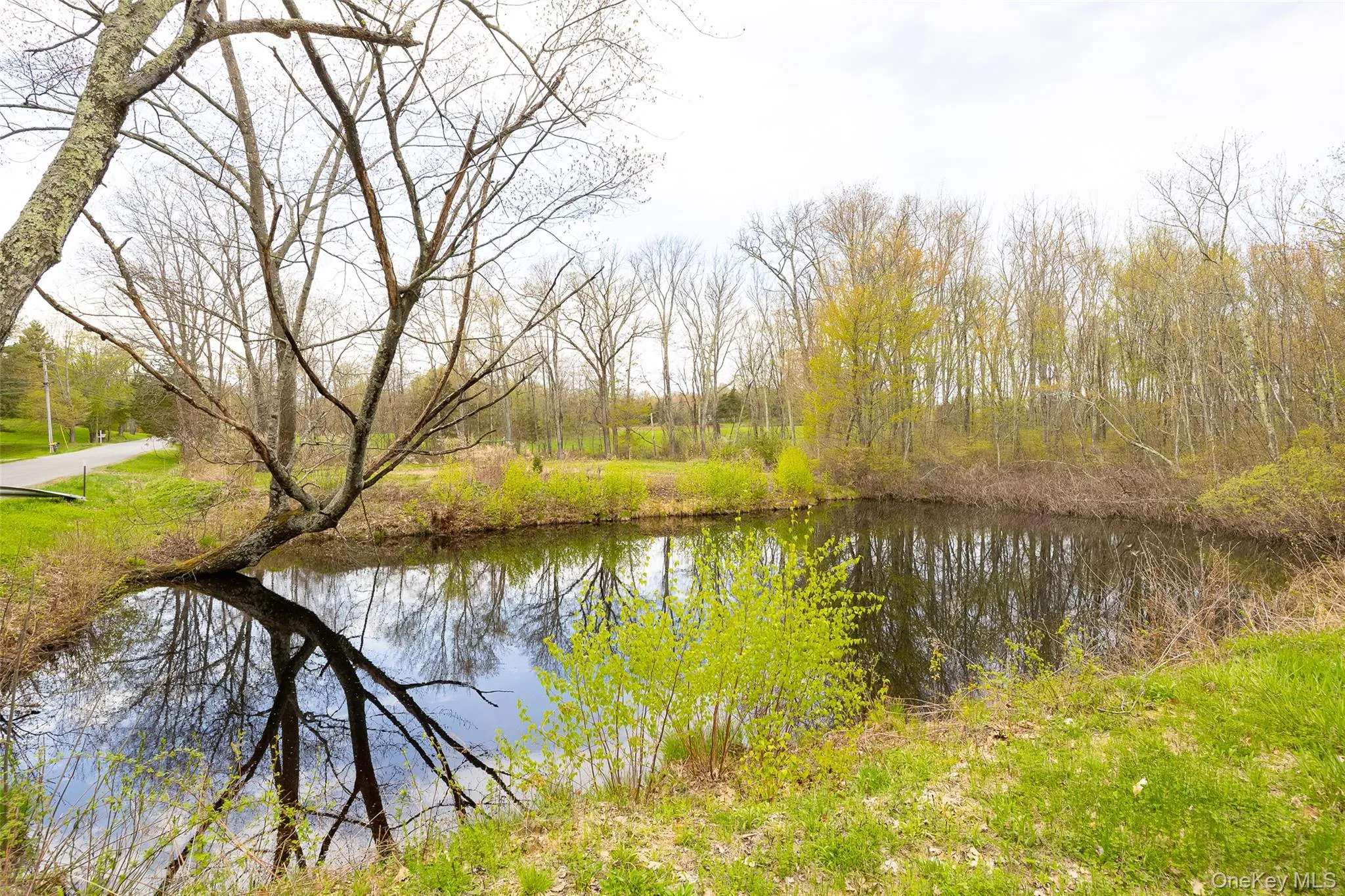 207 Pleasant Vale, Clermont, NY, ,Land,For Rent,Pleasant Vale,0,955852 207 Pleasant Vale, Clermont, NY, ,Land,For Rent,Pleasant Vale,0,955852