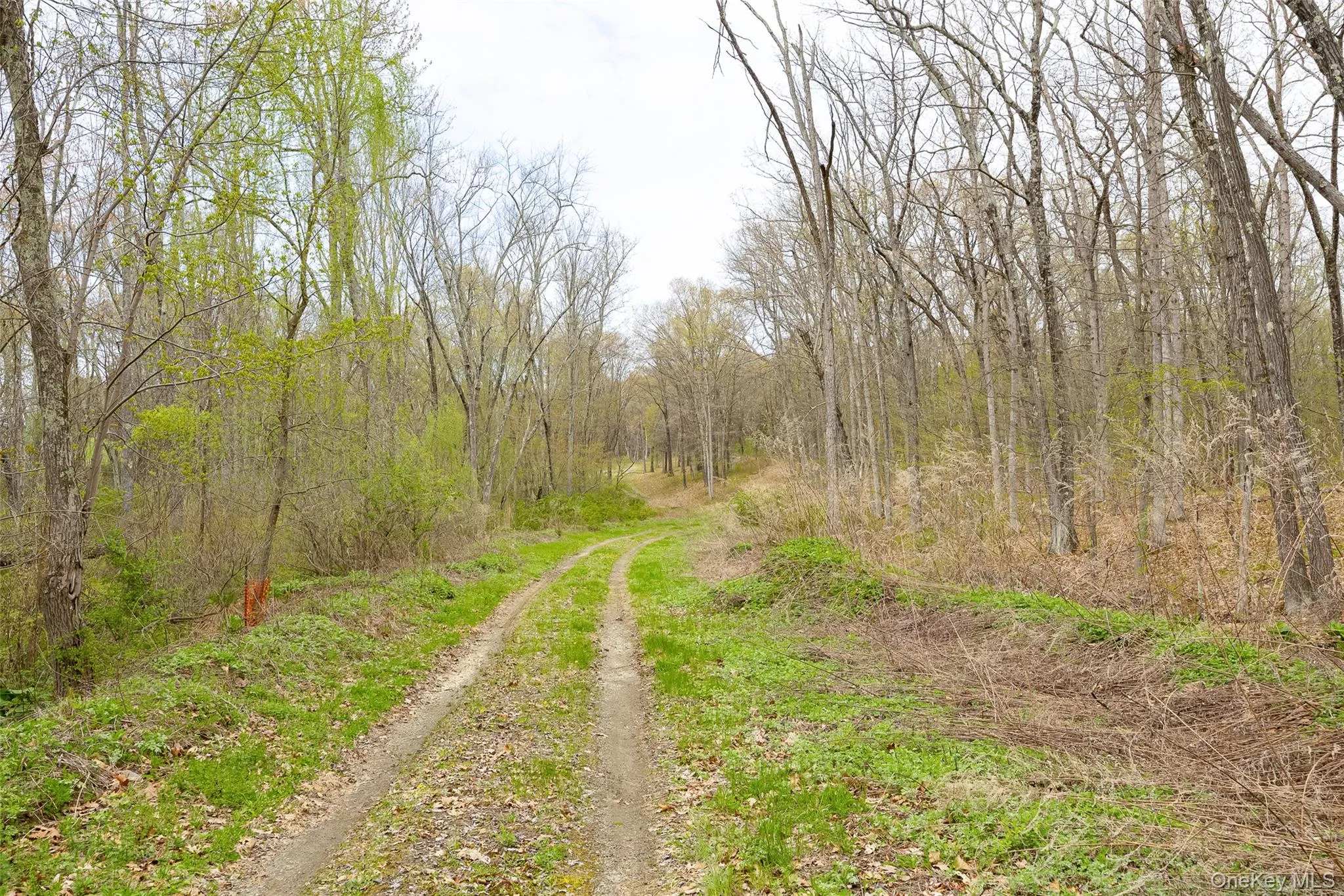 207 Pleasant Vale, Clermont, NY, ,Land,For Rent,Pleasant Vale,0,955852 207 Pleasant Vale, Clermont, NY, ,Land,For Rent,Pleasant Vale,0,955852