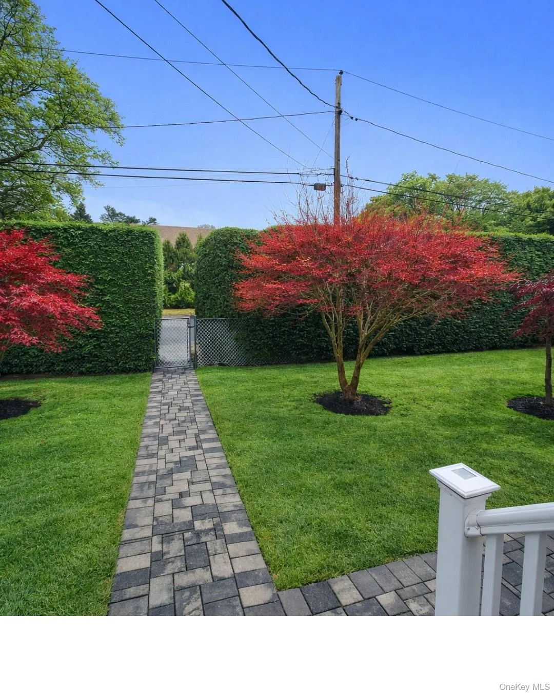 View of front yard featuring hedges for additional privacy View of front yard featuring hedges for additional privacy