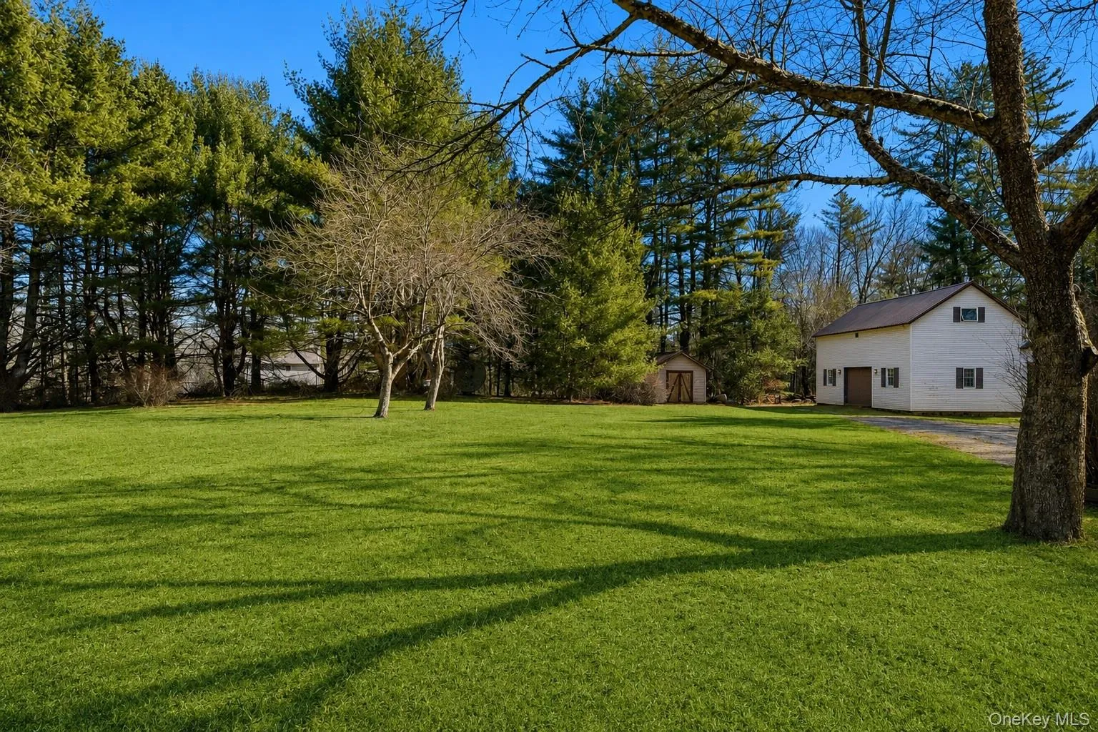 37 Nober Strunk Road, Tusten, NY, 3 Bedrooms Bedrooms, 6 Rooms Rooms,1 BathroomBathrooms,Residential,For Rent,Nober Strunk,0,956107 37 Nober Strunk Road, Tusten, NY, 3 Bedrooms Bedrooms, 6 Rooms Rooms,1 BathroomBathrooms,Residential,For Rent,Nober Strunk,0,956107