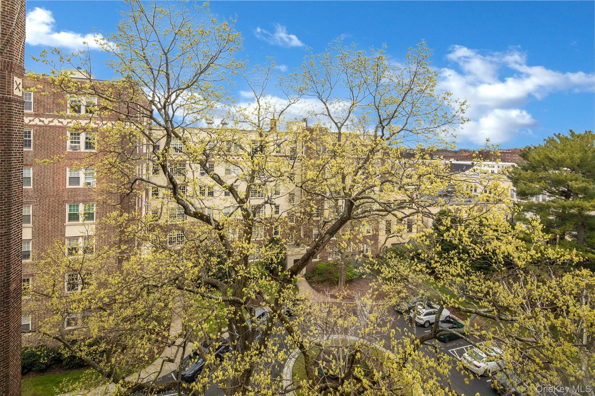 3 Tanglewylde Avenue, Eastchester, NY, 1 Bedroom Bedrooms, 4 Rooms Rooms,1 BathroomBathrooms,Residential Sale,For Rent,Tanglewylde,0,956171 3 Tanglewylde Avenue, Eastchester, NY, 1 Bedroom Bedrooms, 4 Rooms Rooms,1 BathroomBathrooms,Residential Sale,For Rent,Tanglewylde,0,956171