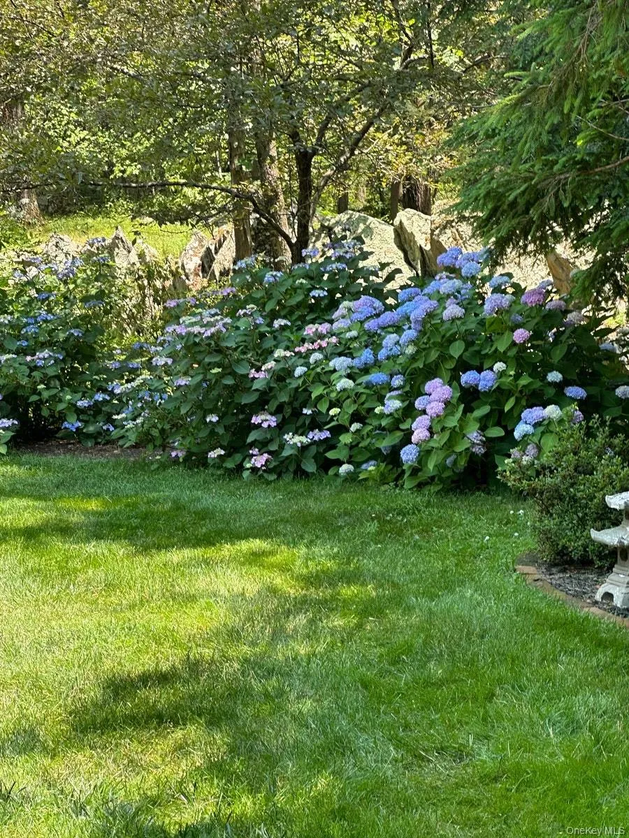 30 Hudson Drive, Hyde Park, NY, 4 Bedrooms Bedrooms, 12 Rooms Rooms,2 BathroomsBathrooms,Residential,For Rent,Hudson,0,956438 30 Hudson Drive, Hyde Park, NY, 4 Bedrooms Bedrooms, 12 Rooms Rooms,2 BathroomsBathrooms,Residential,For Rent,Hudson,0,956438