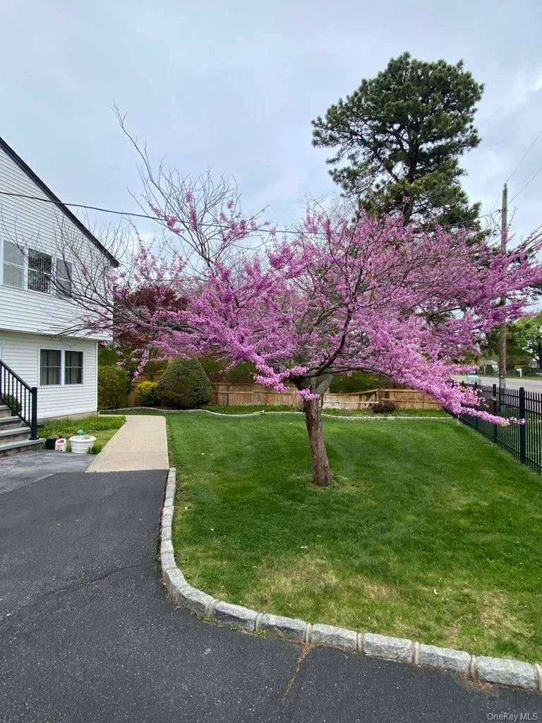 55 Parkway Avenue, Babylon, NY, 7 Bedrooms Bedrooms, 12 Rooms Rooms,3 BathroomsBathrooms,Residential,For Rent,Parkway,0,956530 55 Parkway Avenue, Babylon, NY, 7 Bedrooms Bedrooms, 12 Rooms Rooms,3 BathroomsBathrooms,Residential,For Rent,Parkway,0,956530