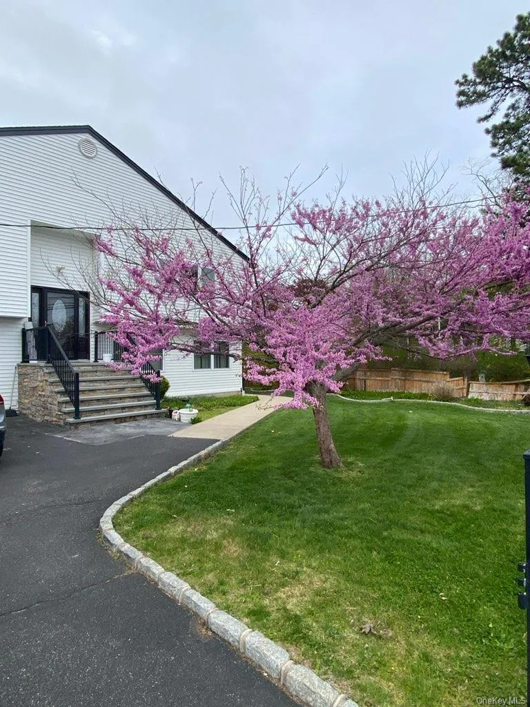 55 Parkway Avenue, Babylon, NY, 7 Bedrooms Bedrooms, 12 Rooms Rooms,3 BathroomsBathrooms,Residential,For Rent,Parkway,0,956530 55 Parkway Avenue, Babylon, NY, 7 Bedrooms Bedrooms, 12 Rooms Rooms,3 BathroomsBathrooms,Residential,For Rent,Parkway,0,956530