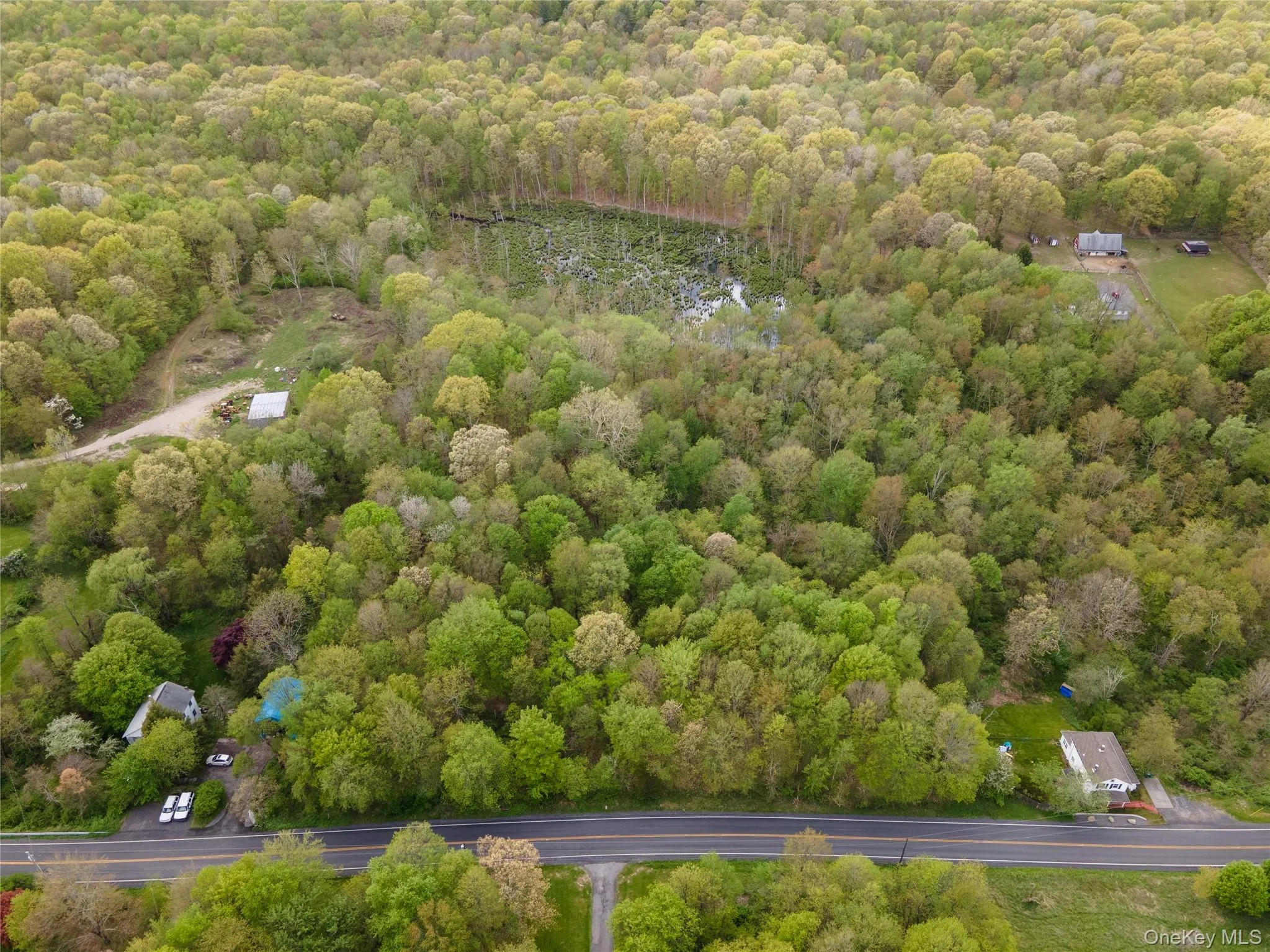 217 Tuckers Corners Road, Plattekill, NY, 4 Bedrooms Bedrooms, 11 Rooms Rooms,3 BathroomsBathrooms,Residential,For Rent,Tuckers Corners,0,956644 217 Tuckers Corners Road, Plattekill, NY, 4 Bedrooms Bedrooms, 11 Rooms Rooms,3 BathroomsBathrooms,Residential,For Rent,Tuckers Corners,0,956644