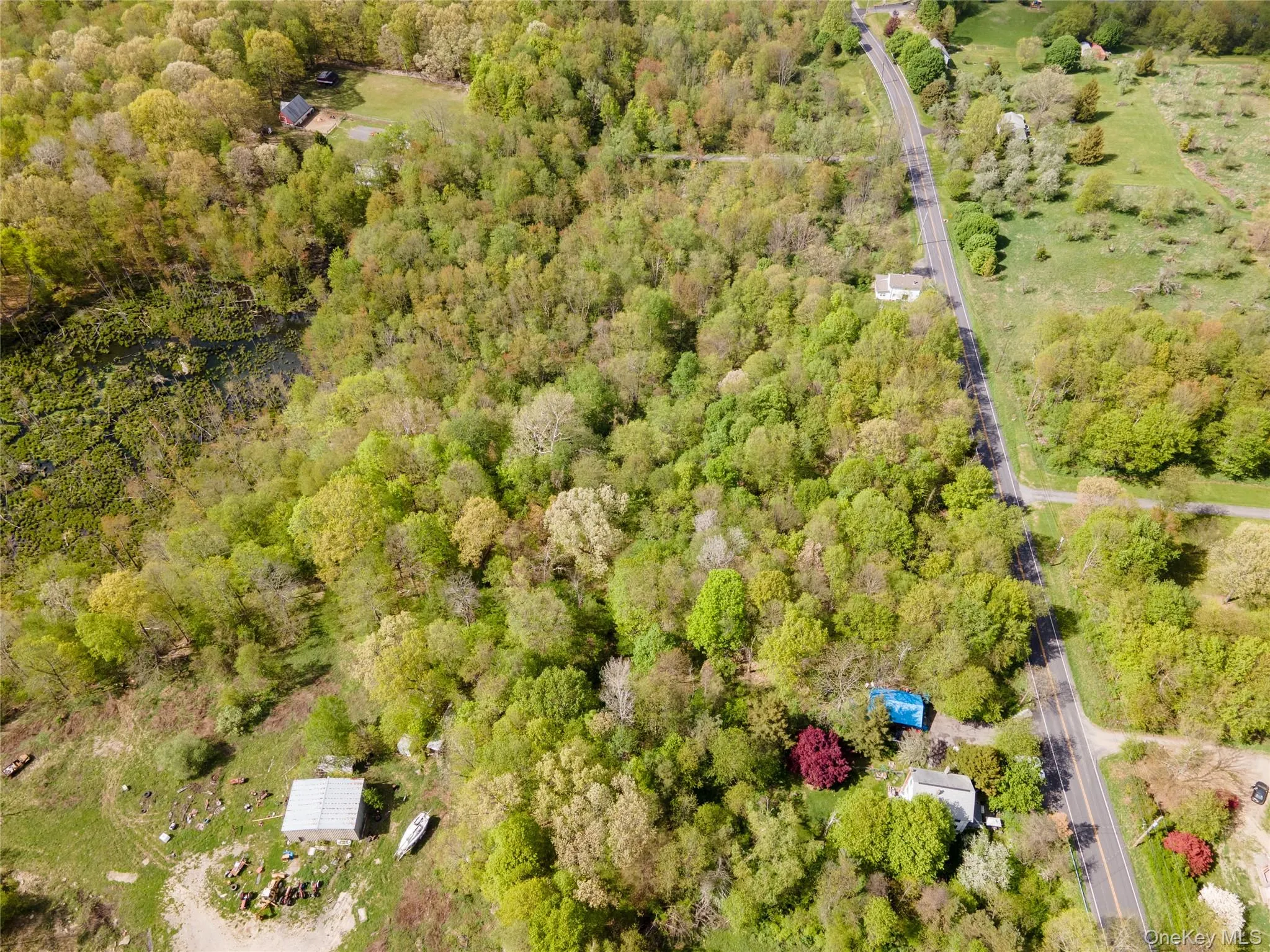 217 Tuckers Corners Road, Plattekill, NY, 4 Bedrooms Bedrooms, 11 Rooms Rooms,3 BathroomsBathrooms,Residential,For Rent,Tuckers Corners,0,956644 217 Tuckers Corners Road, Plattekill, NY, 4 Bedrooms Bedrooms, 11 Rooms Rooms,3 BathroomsBathrooms,Residential,For Rent,Tuckers Corners,0,956644