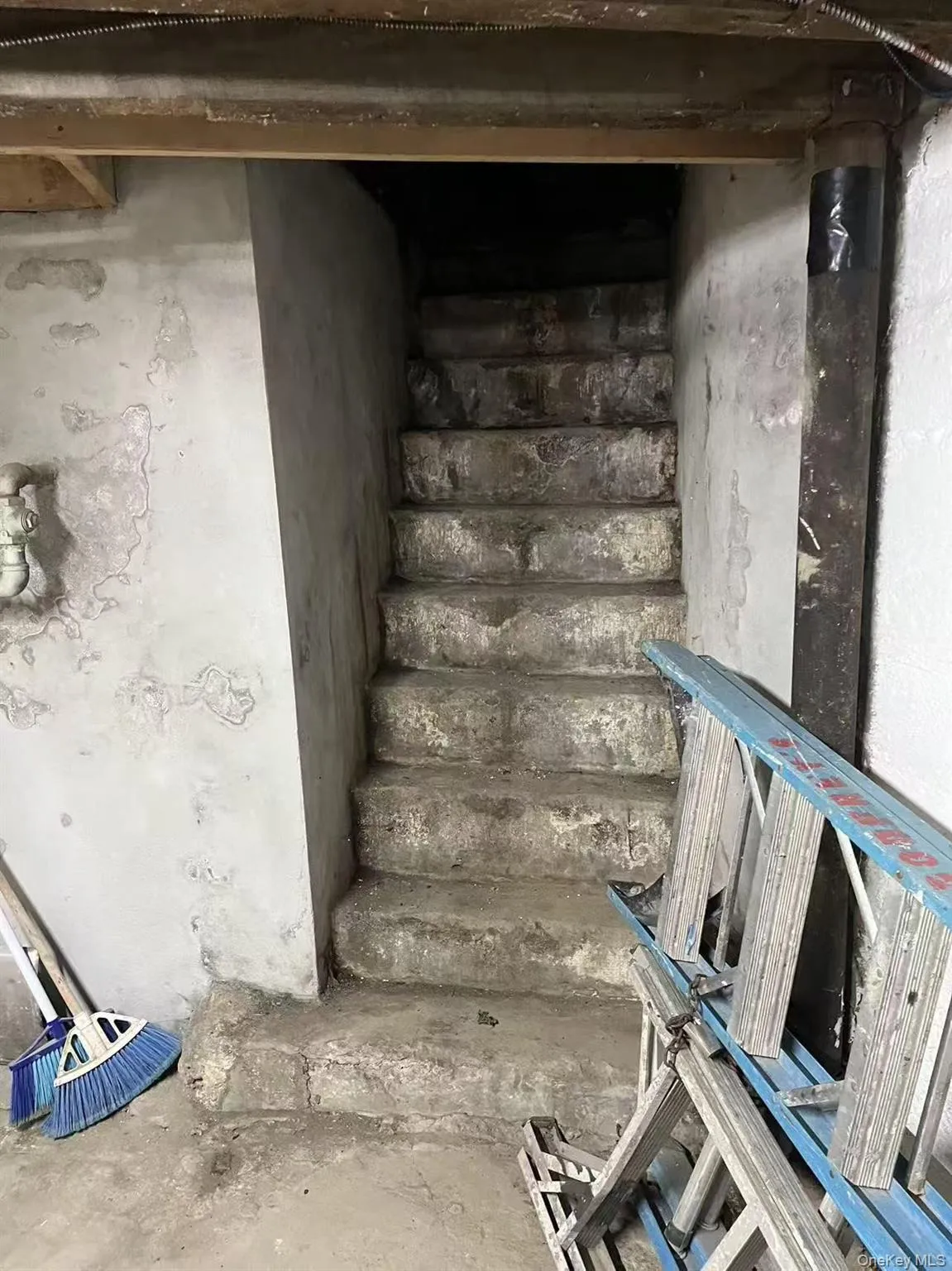 102-51 Jamaica Avenue, New York, NY, ,Commercial Lease,For Rent,Jamaica,0,956686 102-51 Jamaica Avenue, New York, NY, ,Commercial Lease,For Rent,Jamaica,0,956686