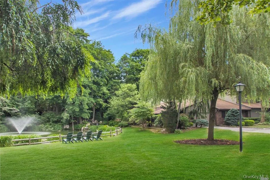 Summer view Summer view