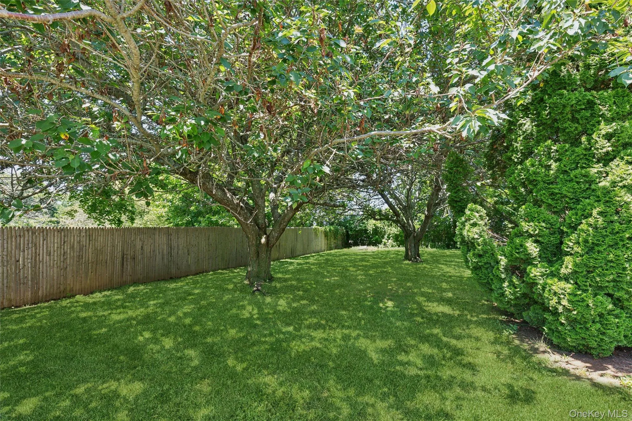 6205 Alvahs Lane, Southold, NY, 3 Bedrooms Bedrooms, 8 Rooms Rooms,2 BathroomsBathrooms,Residential,For Rent,Alvahs,0,956730 6205 Alvahs Lane, Southold, NY, 3 Bedrooms Bedrooms, 8 Rooms Rooms,2 BathroomsBathrooms,Residential,For Rent,Alvahs,0,956730