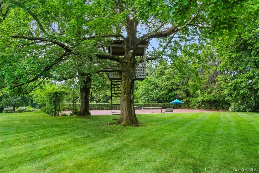 15 Sarosca Farm Lane, Harrison, NY, 7 Bedrooms Bedrooms, 19 Rooms Rooms,7 BathroomsBathrooms,Residential,For Rent,Sarosca Farm,0,956753 15 Sarosca Farm Lane, Harrison, NY, 7 Bedrooms Bedrooms, 19 Rooms Rooms,7 BathroomsBathrooms,Residential,For Rent,Sarosca Farm,0,956753