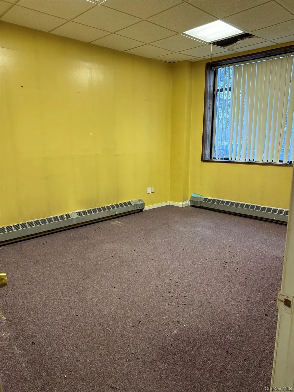 1600 Parkview Avenue, New York, NY, ,Commercial Lease,For Rent,Parkview,0,956778 1600 Parkview Avenue, New York, NY, ,Commercial Lease,For Rent,Parkview,0,956778