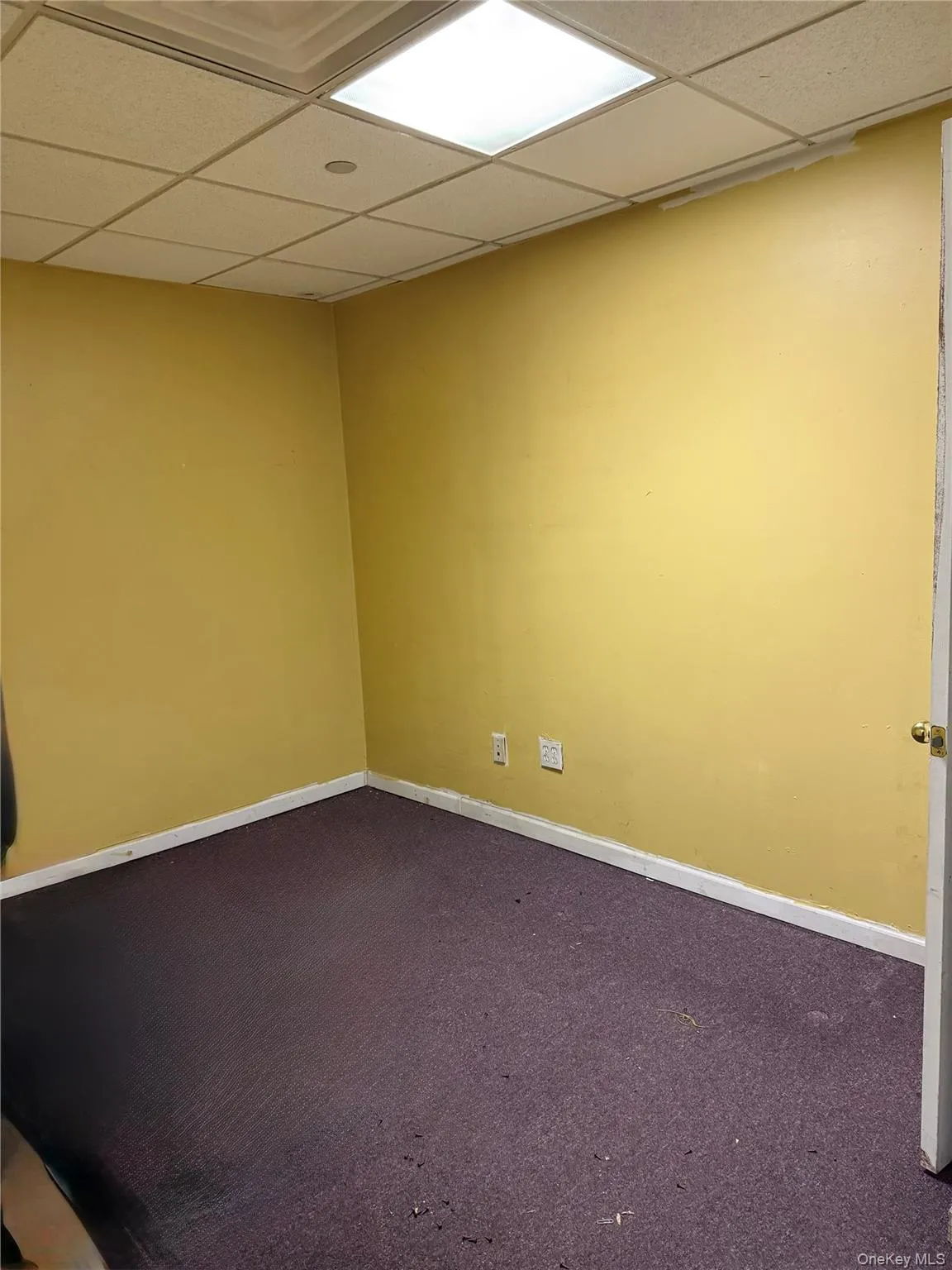 1600 Parkview Avenue, New York, NY, ,Commercial Lease,For Rent,Parkview,0,956778 1600 Parkview Avenue, New York, NY, ,Commercial Lease,For Rent,Parkview,0,956778