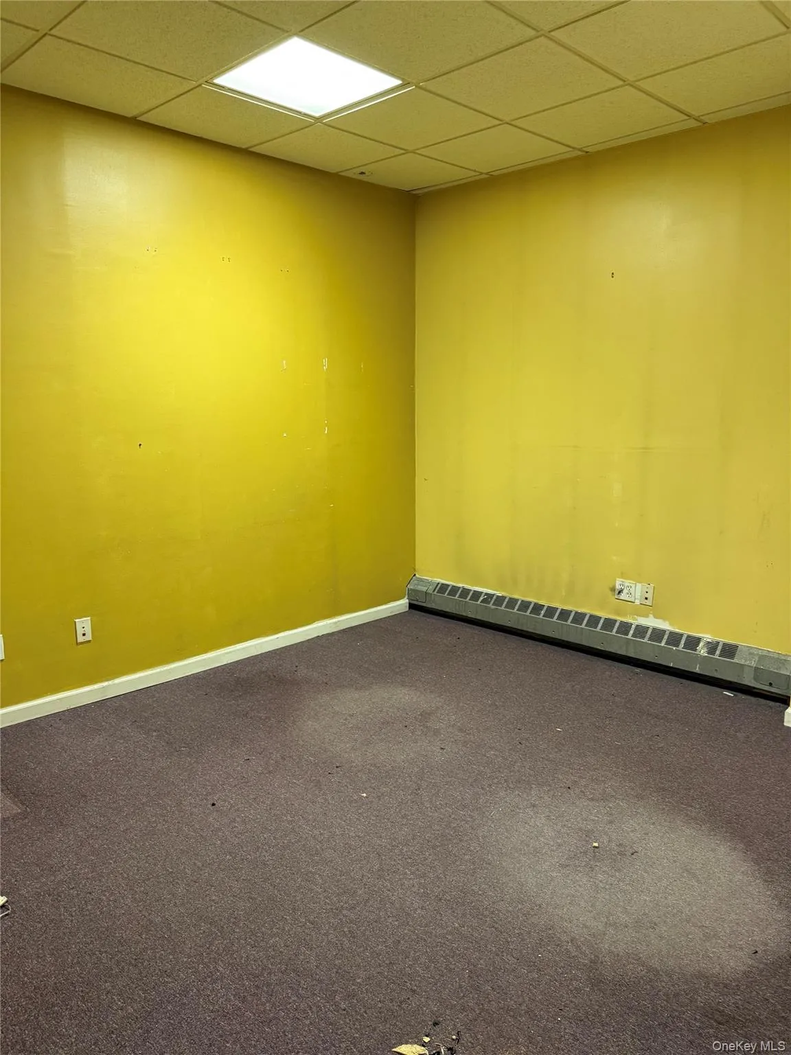 1600 Parkview Avenue, New York, NY, ,Commercial Lease,For Rent,Parkview,0,956778 1600 Parkview Avenue, New York, NY, ,Commercial Lease,For Rent,Parkview,0,956778