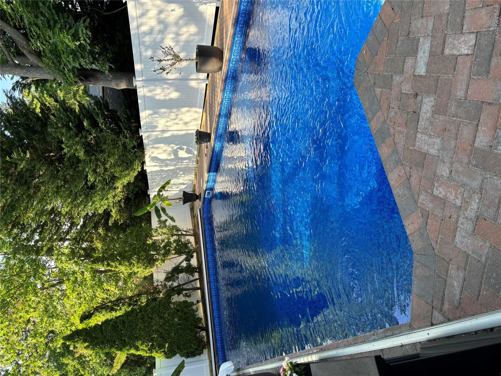 New pool liner, cover, fence, landscaping 5/2026 New pool liner, cover, fence, landscaping 5/2026