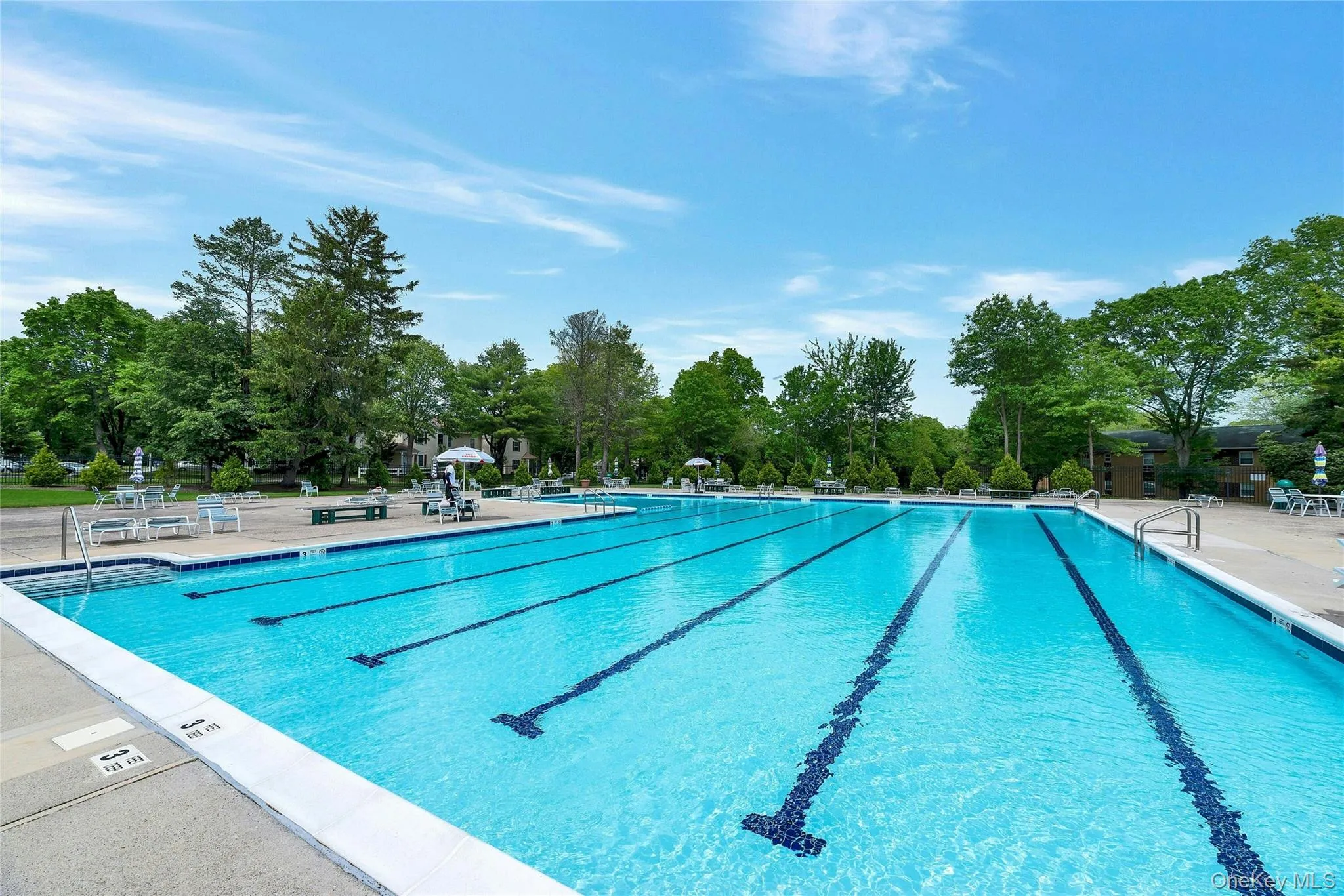280 Artist Lake Drive, Brookhaven, NY, 1 Bedroom Bedrooms, 3 Rooms Rooms,1 BathroomBathrooms,Residential,For Rent,Artist Lake,0,956957 280 Artist Lake Drive, Brookhaven, NY, 1 Bedroom Bedrooms, 3 Rooms Rooms,1 BathroomBathrooms,Residential,For Rent,Artist Lake,0,956957