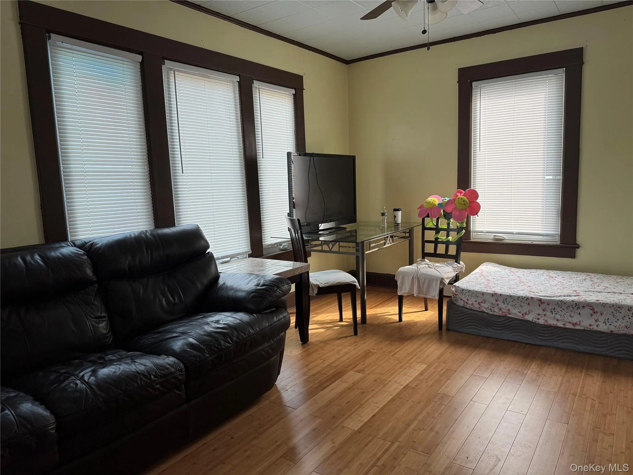 Living area with ornamental molding, ceiling fan, and wood finished floors Living area with ornamental molding, ceiling fan, and wood finished floors