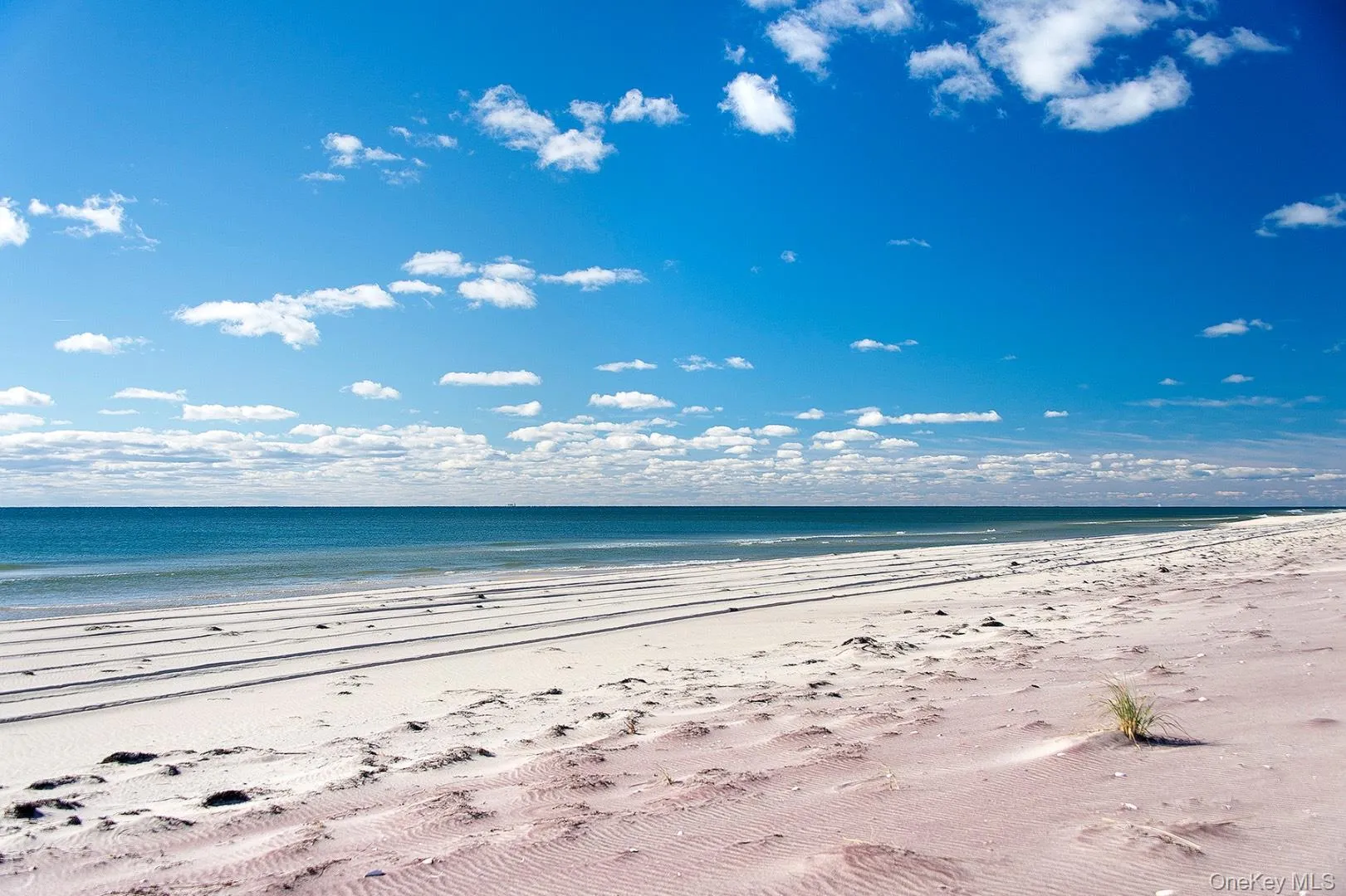 1.1 Acre of Privacy on the Ocean 1.1 Acre of Privacy on the Ocean