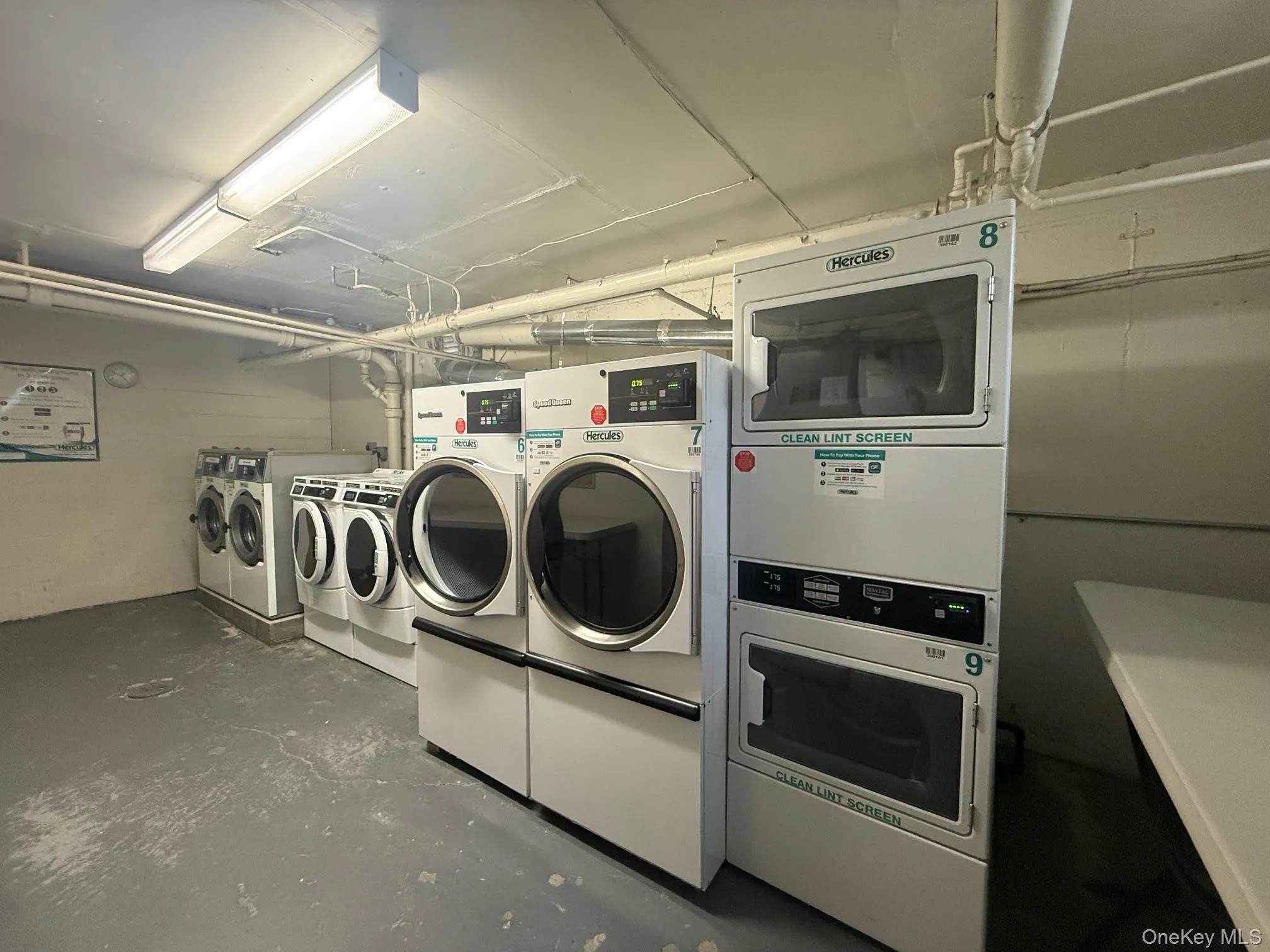 103 Wiltshire Road, New Rochelle, NY, 1 Bedroom Bedrooms, 3 Rooms Rooms,1 BathroomBathrooms,Residential Lease,For Rent,Wiltshire,0,957103 103 Wiltshire Road, New Rochelle, NY, 1 Bedroom Bedrooms, 3 Rooms Rooms,1 BathroomBathrooms,Residential Lease,For Rent,Wiltshire,0,957103