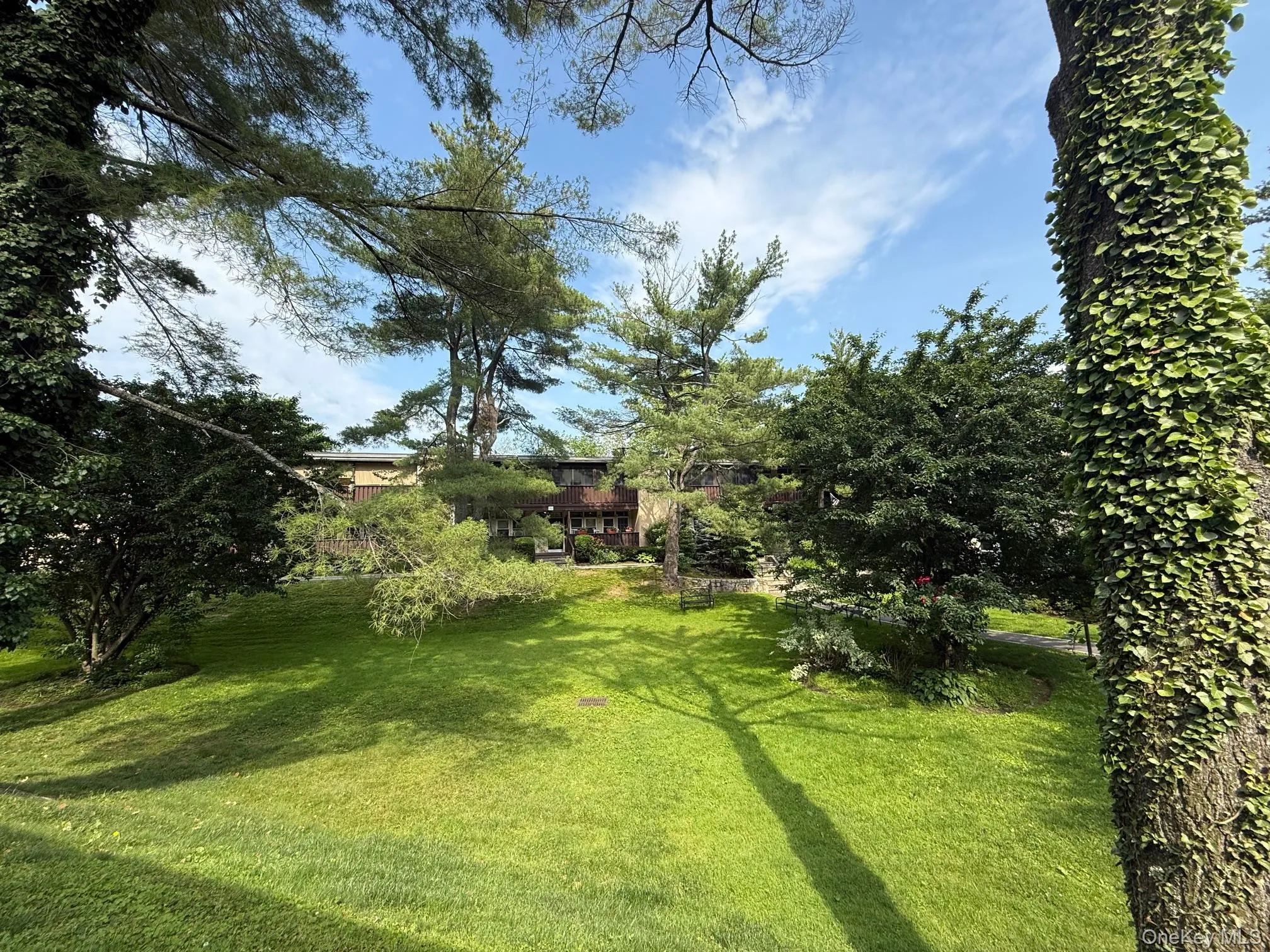 103 Wiltshire Road, New Rochelle, NY, 1 Bedroom Bedrooms, 3 Rooms Rooms,1 BathroomBathrooms,Residential Lease,For Rent,Wiltshire,0,957103 103 Wiltshire Road, New Rochelle, NY, 1 Bedroom Bedrooms, 3 Rooms Rooms,1 BathroomBathrooms,Residential Lease,For Rent,Wiltshire,0,957103