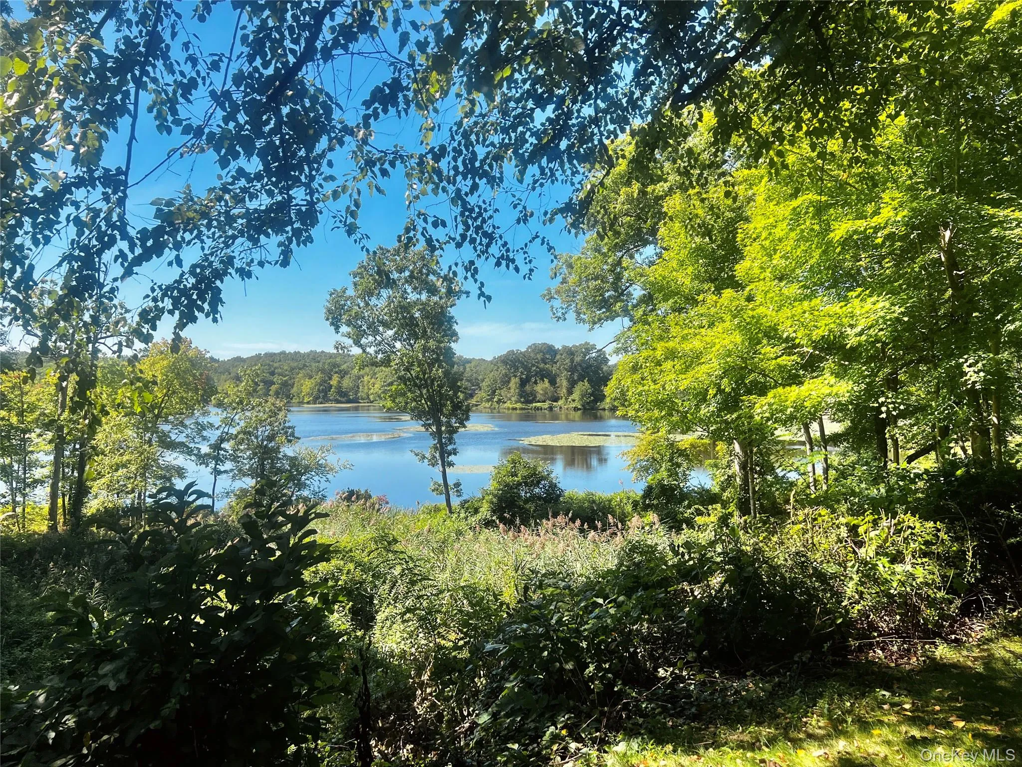 View from private patio. View from private patio.