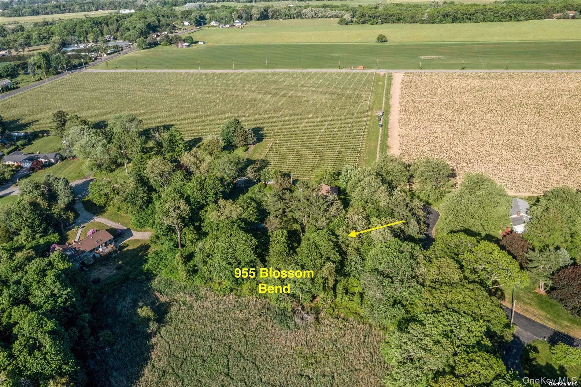 955 Blossom Bend, Southold, NY, ,Land,For Rent,Blossom Bend,0,957255 955 Blossom Bend, Southold, NY, ,Land,For Rent,Blossom Bend,0,957255