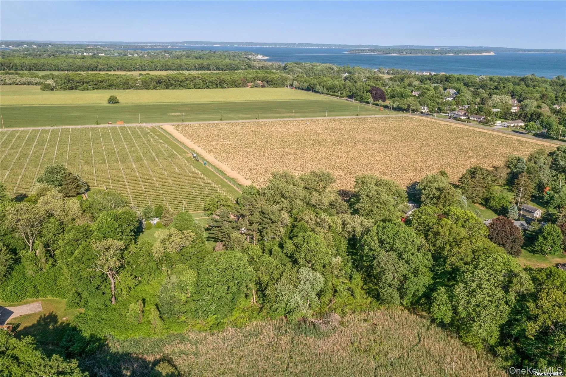 955 Blossom Bend, Southold, NY, ,Land,For Rent,Blossom Bend,0,957255 955 Blossom Bend, Southold, NY, ,Land,For Rent,Blossom Bend,0,957255