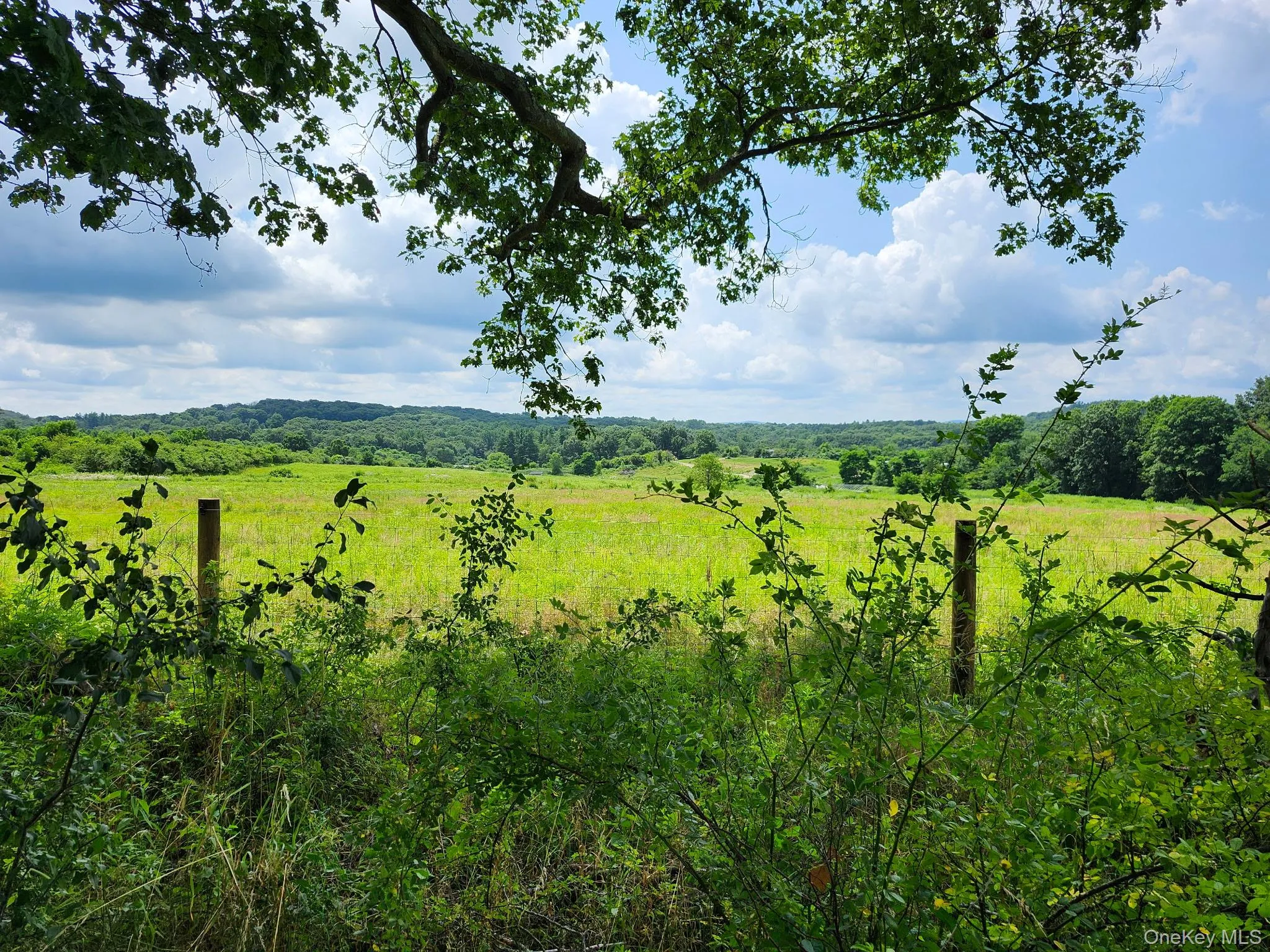 Summer view Summer view