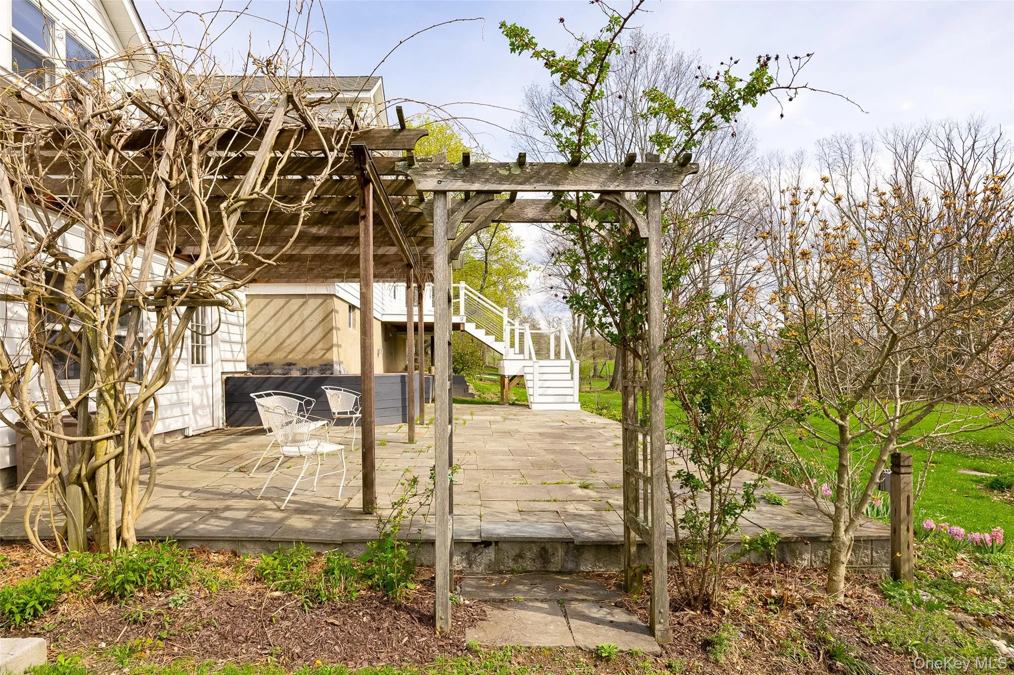 Bluestone patio and Pergola with Wisteria Bluestone patio and Pergola with Wisteria