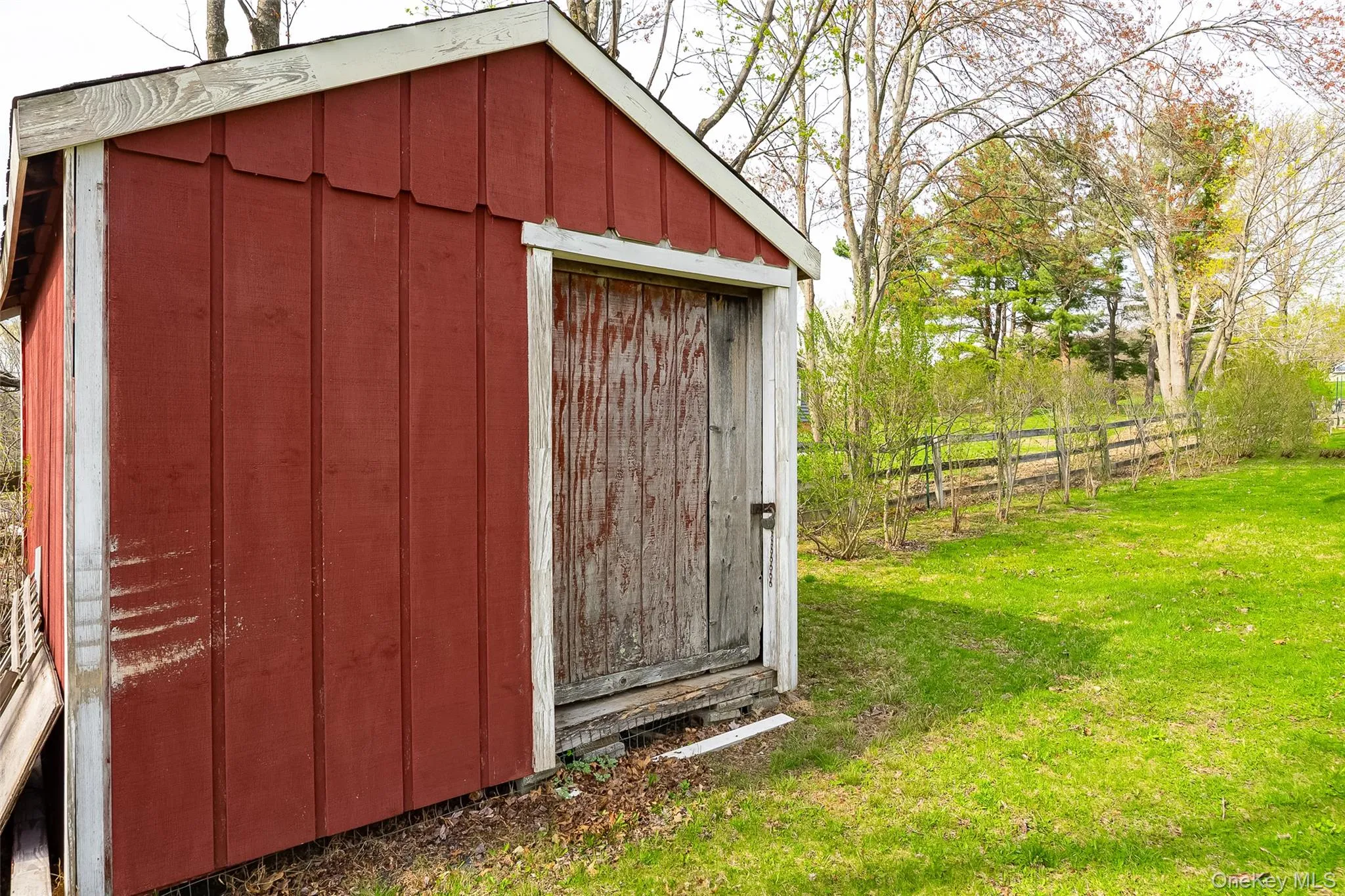 Shed Shed
