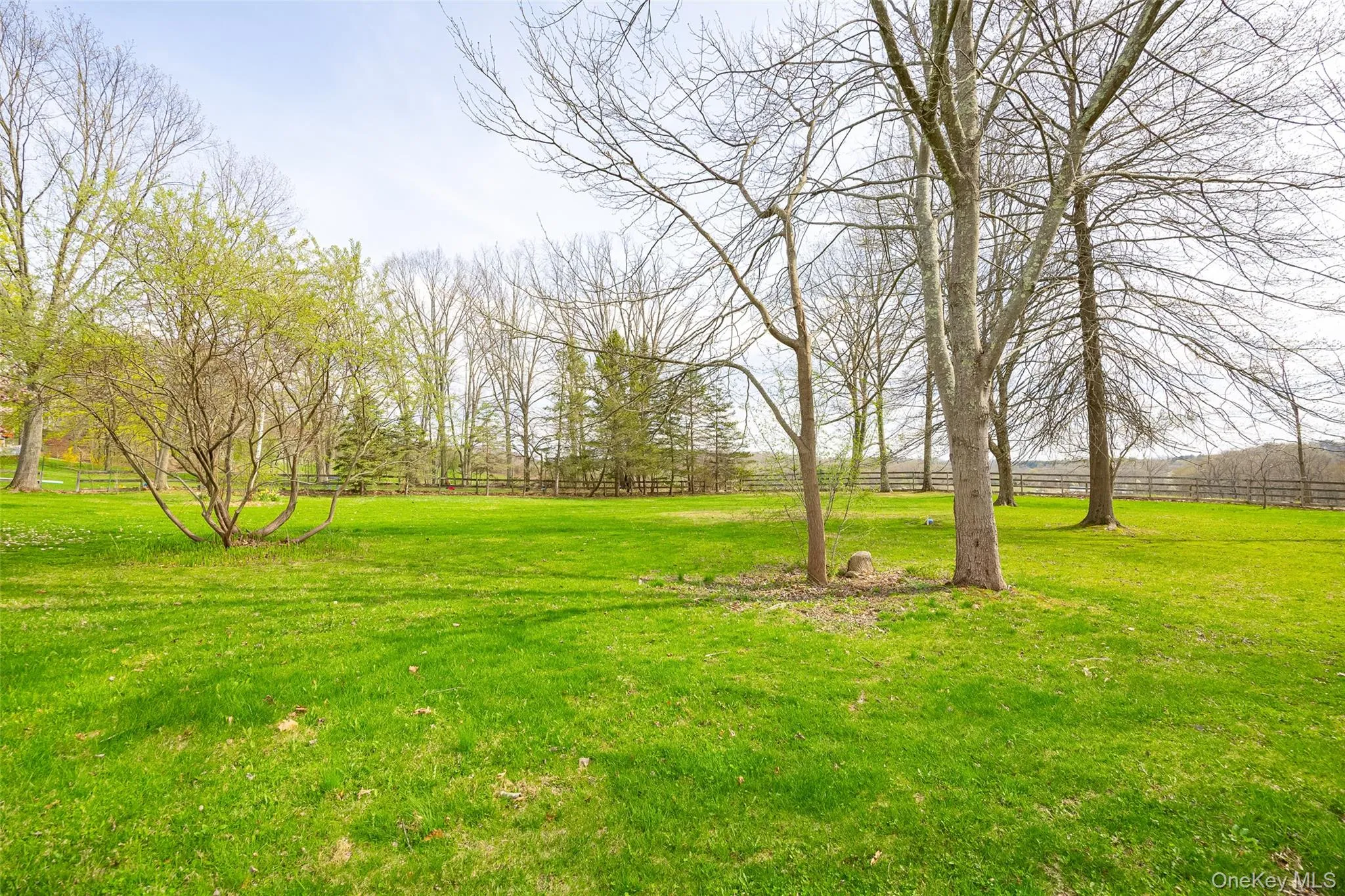 Backyard view Backyard view