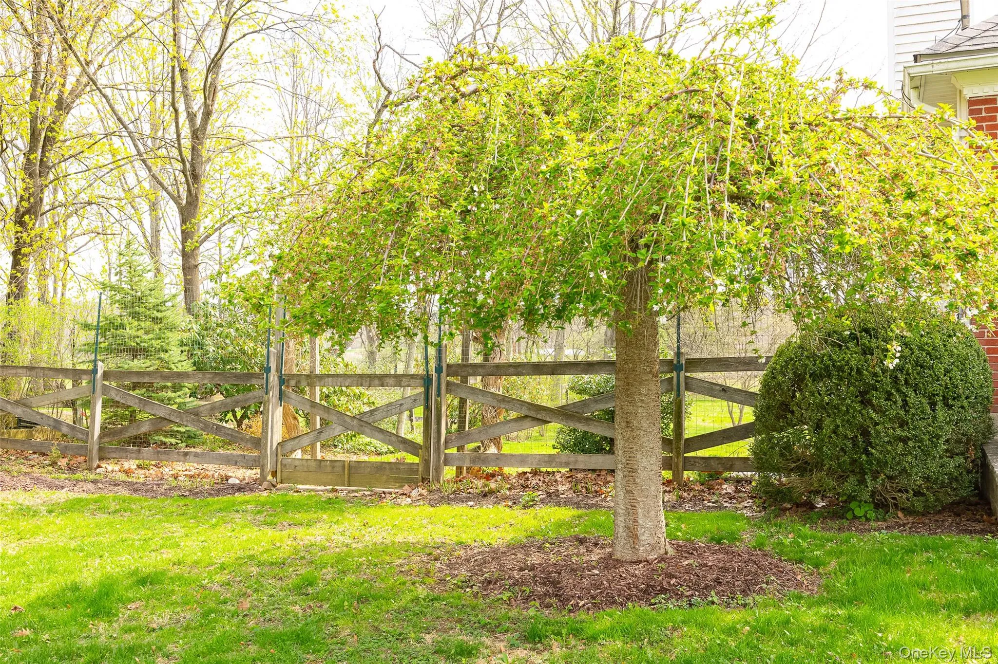 Front yard looking towards backyard Front yard looking towards backyard