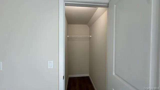 Bedroom 1 Walk in closet featuring dark hardwood / wood-style flooring Bedroom 1 Walk in closet featuring dark hardwood / wood-style flooring