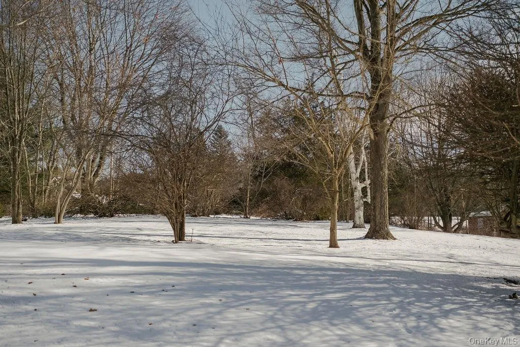 1539 Hollow Road, Clinton, NY, 4 Bedrooms Bedrooms, 7 Rooms Rooms,2 BathroomsBathrooms,Residential Lease,For Rent,Hollow,0,957306 1539 Hollow Road, Clinton, NY, 4 Bedrooms Bedrooms, 7 Rooms Rooms,2 BathroomsBathrooms,Residential Lease,For Rent,Hollow,0,957306