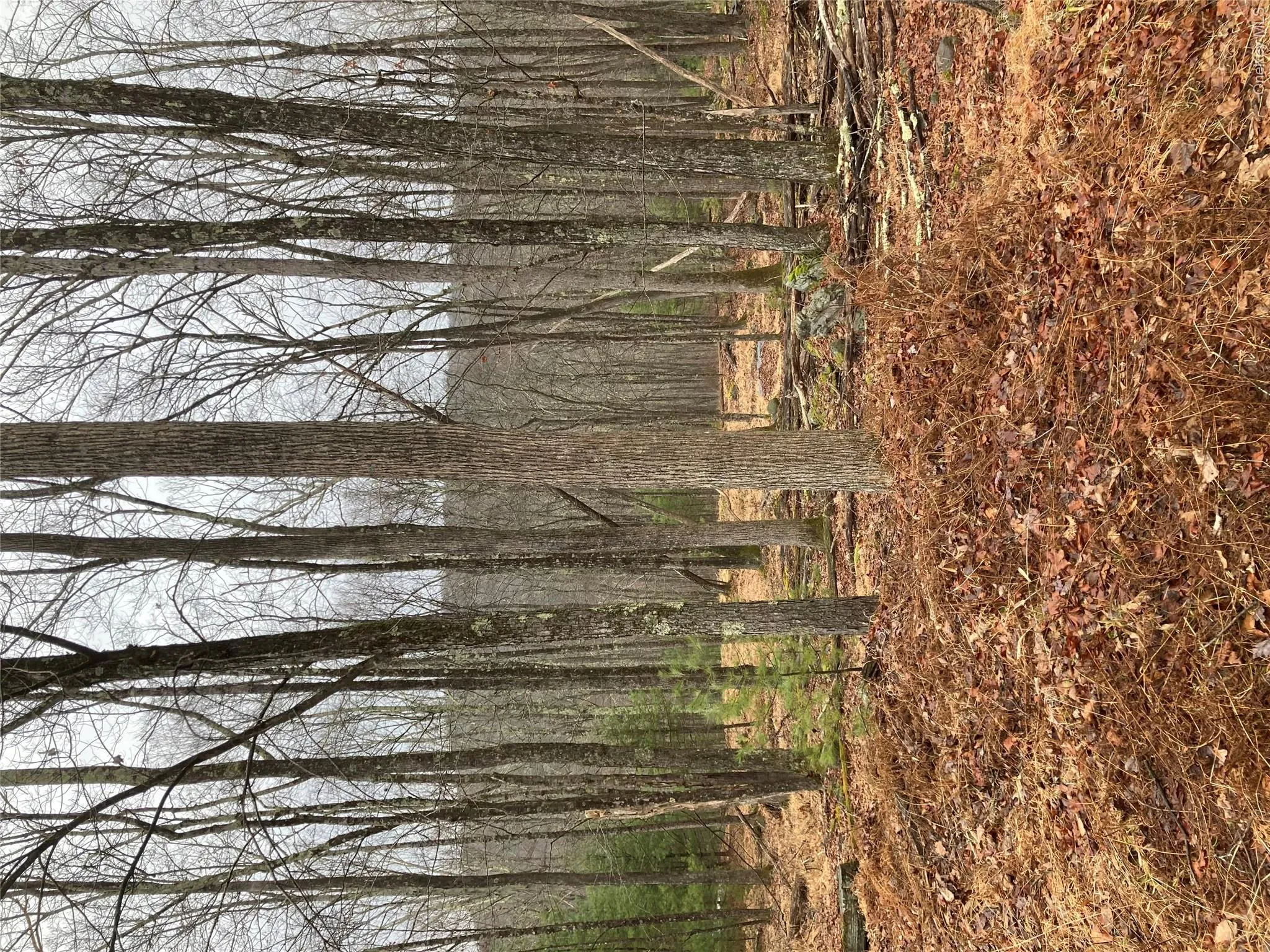 State Route 55, Highland, NY, ,Land,For Rent,State Route 55,0,957366 State Route 55, Highland, NY, ,Land,For Rent,State Route 55,0,957366
