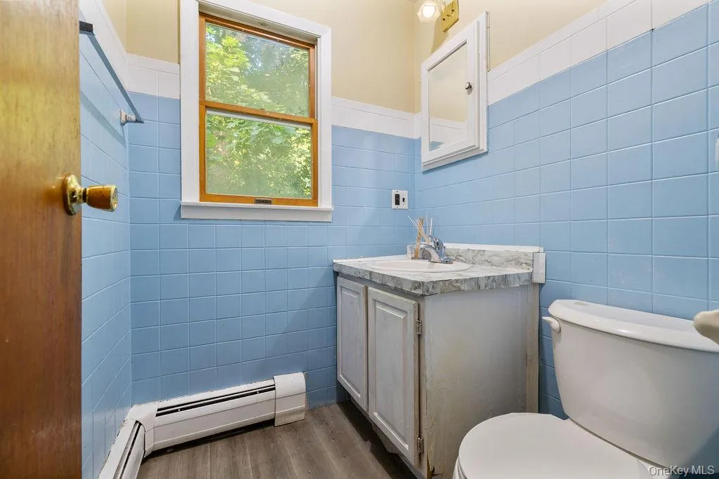 Bathroom featuring a baseboard radiator, vanity, and dark wood-style floors Bathroom featuring a baseboard radiator, vanity, and dark wood-style floors