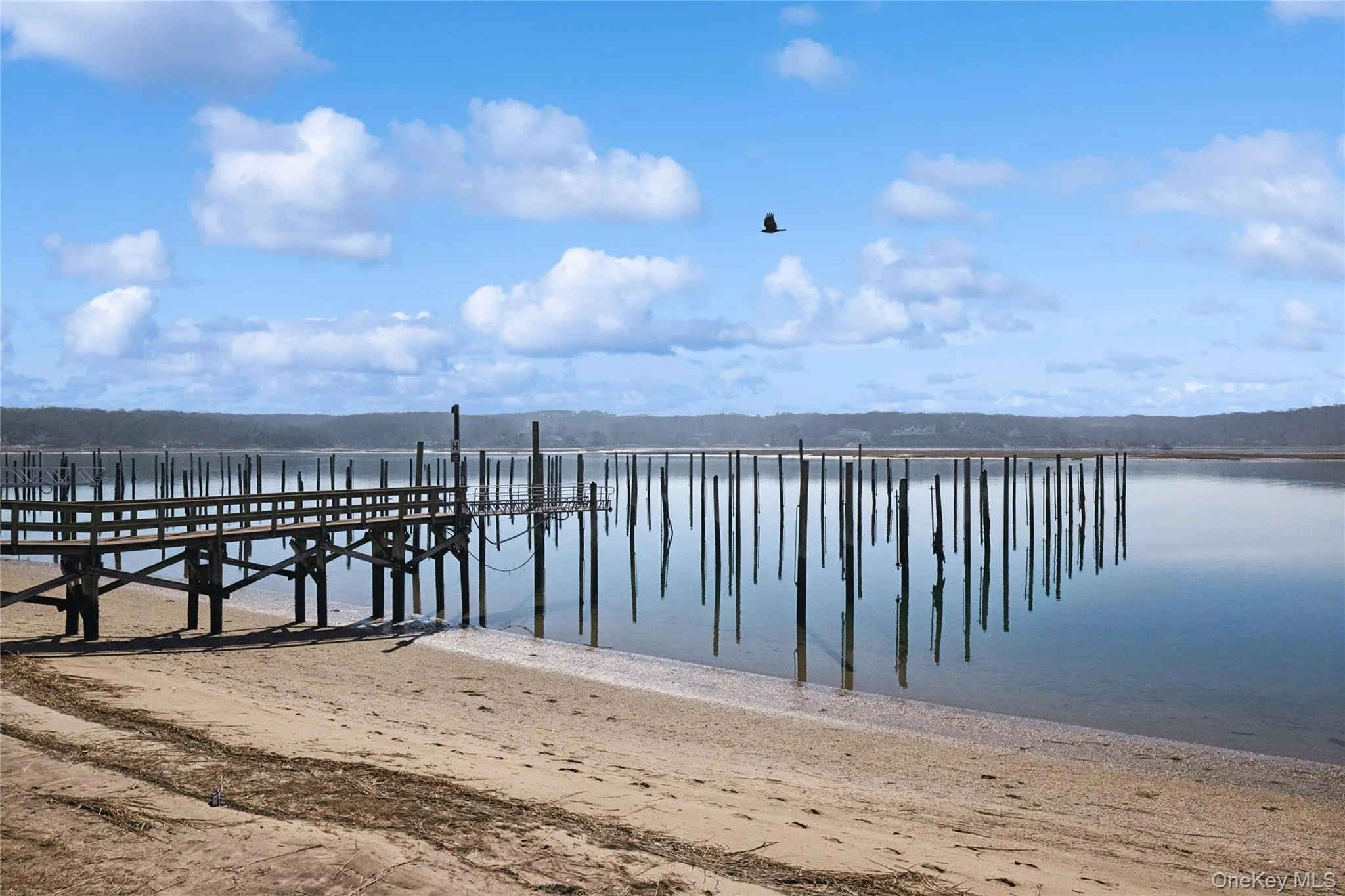 171 Harbor Beach Road, Brookhaven, NY, 3 Bedrooms Bedrooms, 10 Rooms Rooms,3 BathroomsBathrooms,Residential Lease,For Rent,Harbor Beach,0,957524 171 Harbor Beach Road, Brookhaven, NY, 3 Bedrooms Bedrooms, 10 Rooms Rooms,3 BathroomsBathrooms,Residential Lease,For Rent,Harbor Beach,0,957524